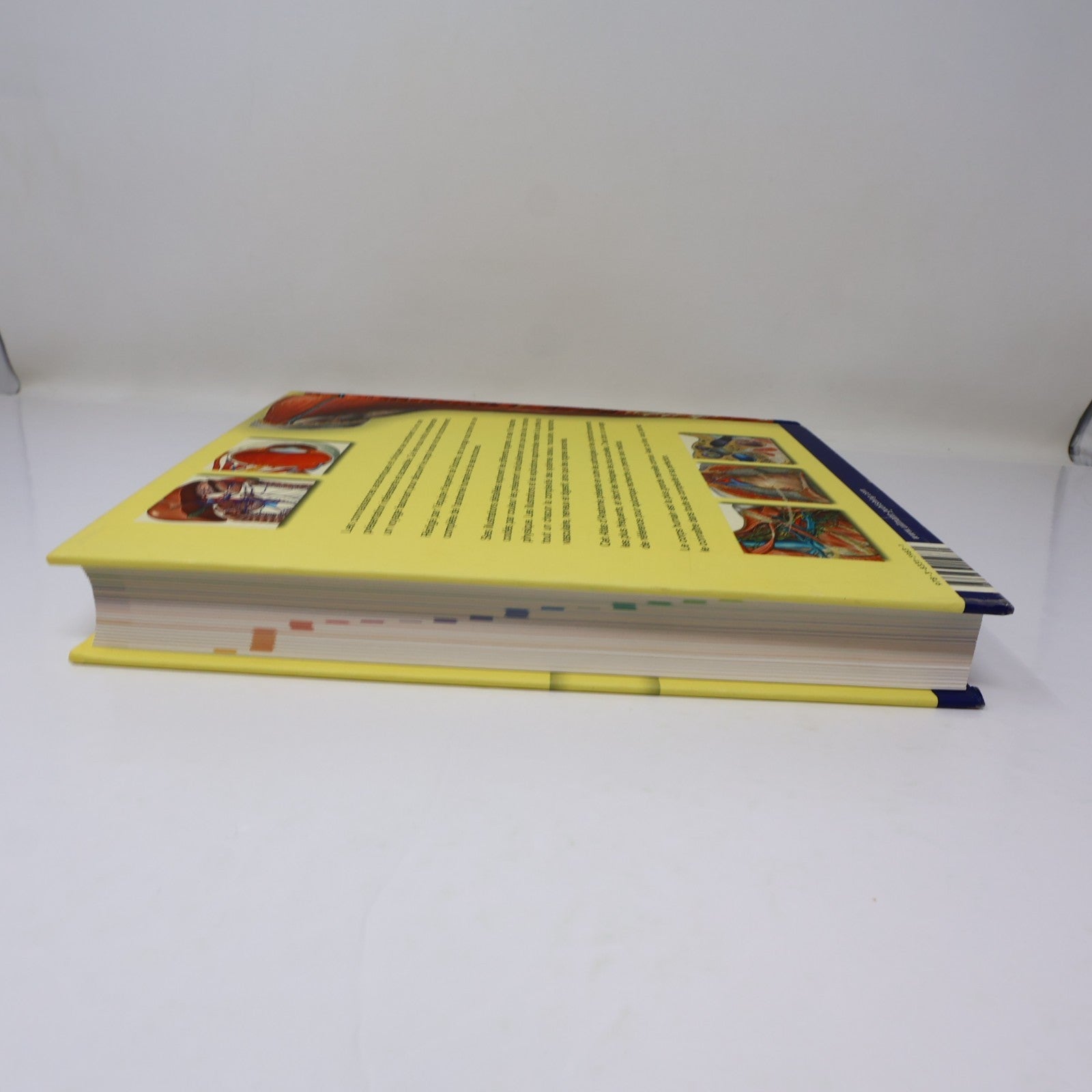 Atlas d'Anatomie Sobotta Ullman 2010 HC Français/French 600 Illustrations Livre