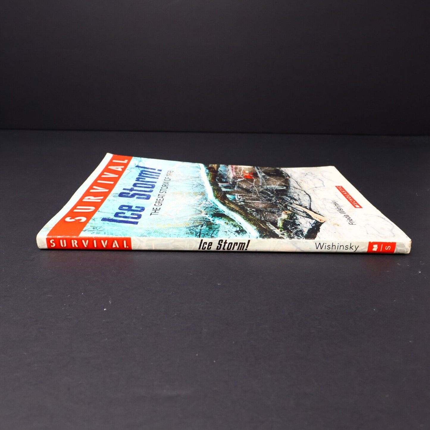 2016 Survival Ice Storm! by Frieda Wishinsky The Great Storm of 1998 Scholastic