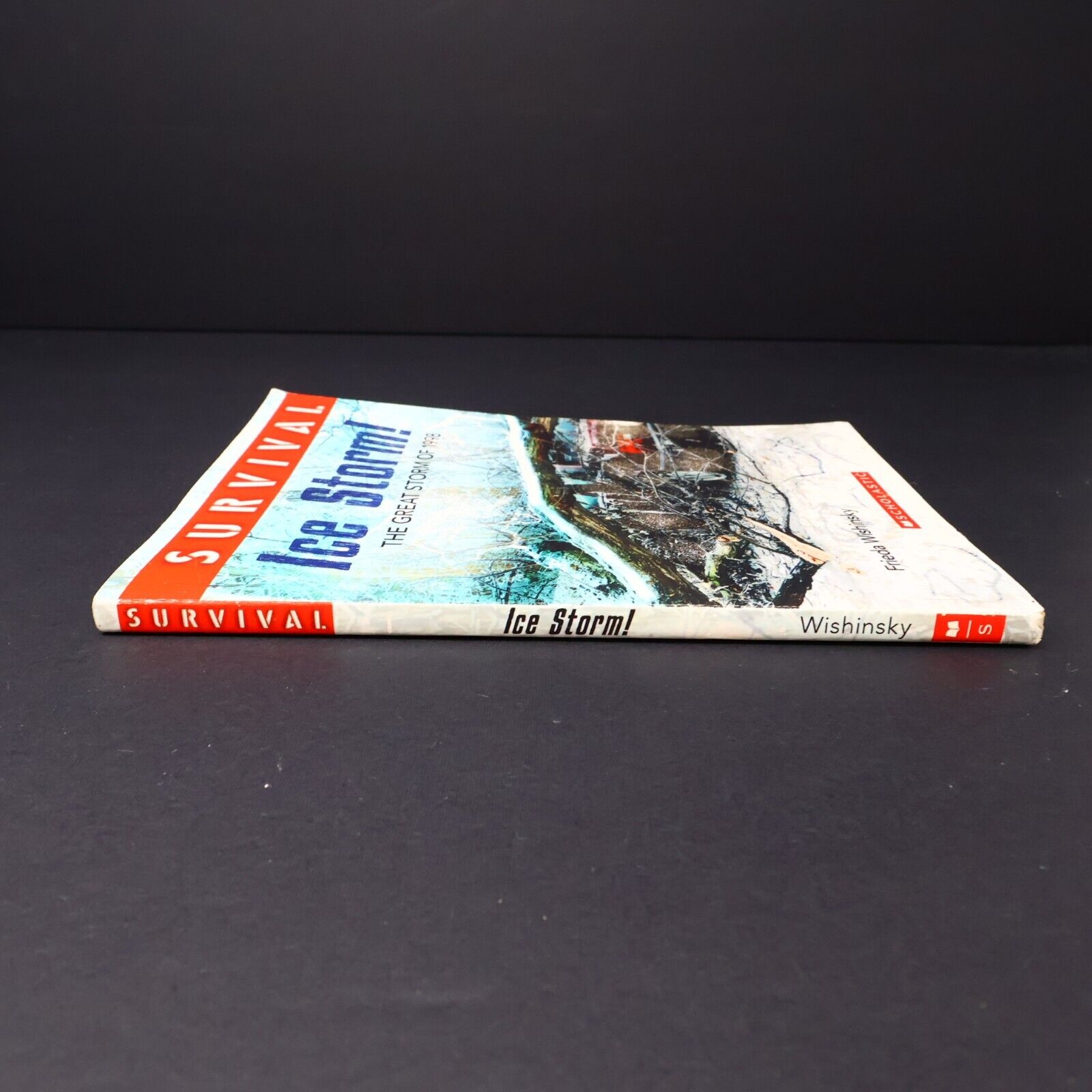 2016 Survival Ice Storm! by Frieda Wishinsky The Great Storm of 1998 Scholastic