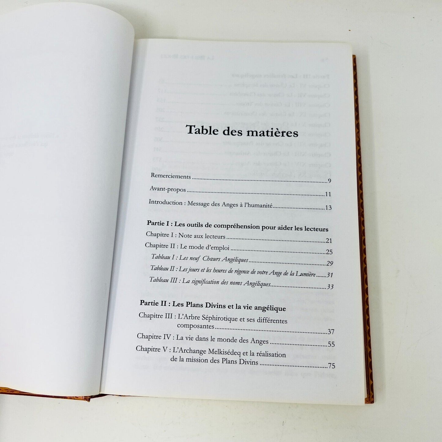 La Bible des Anges #1-2 Au Quotidien Québec Loisirs Joane Flansberry Lot Livres