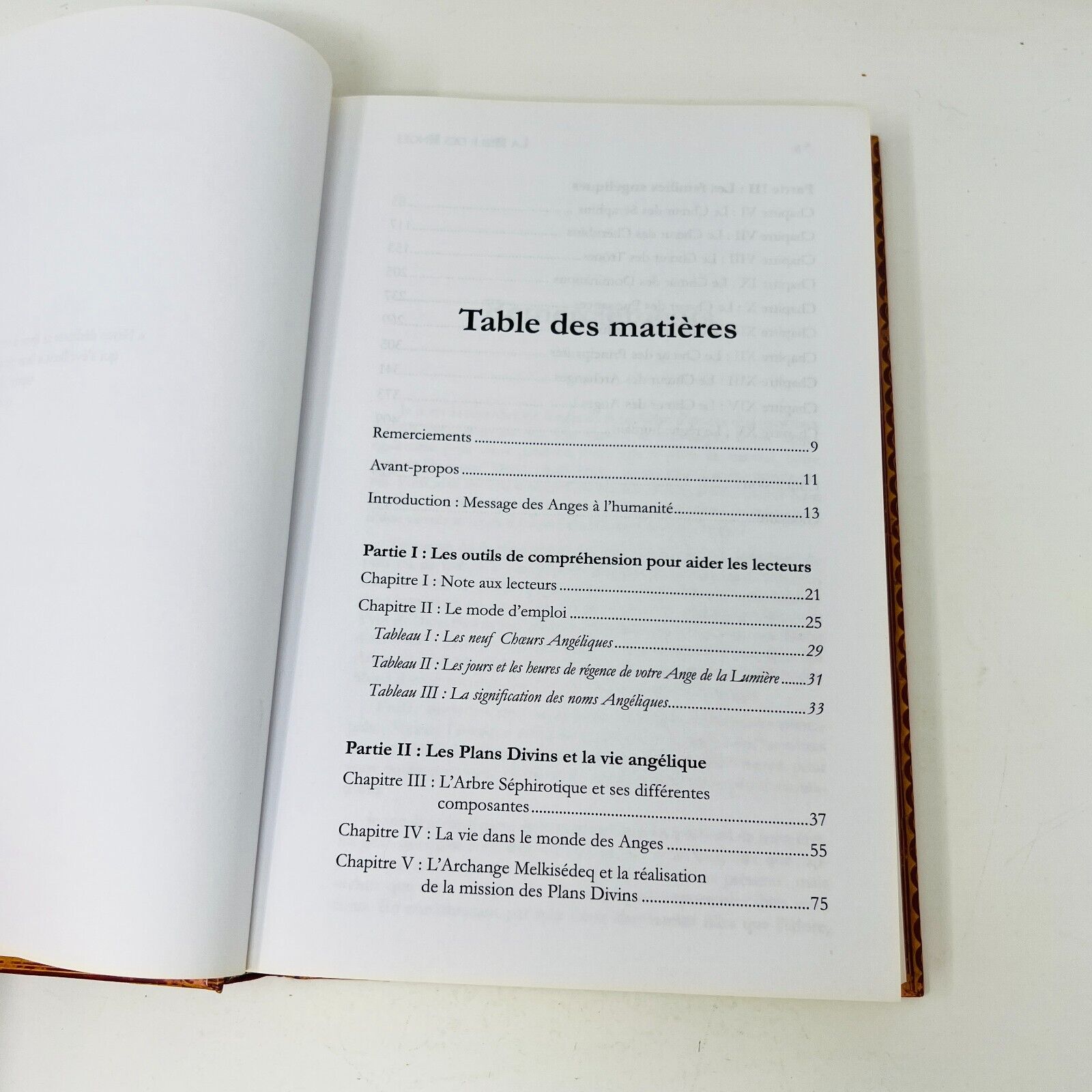 La Bible des Anges #1-2 Au Quotidien Québec Loisirs Joane Flansberry Lot Livres
