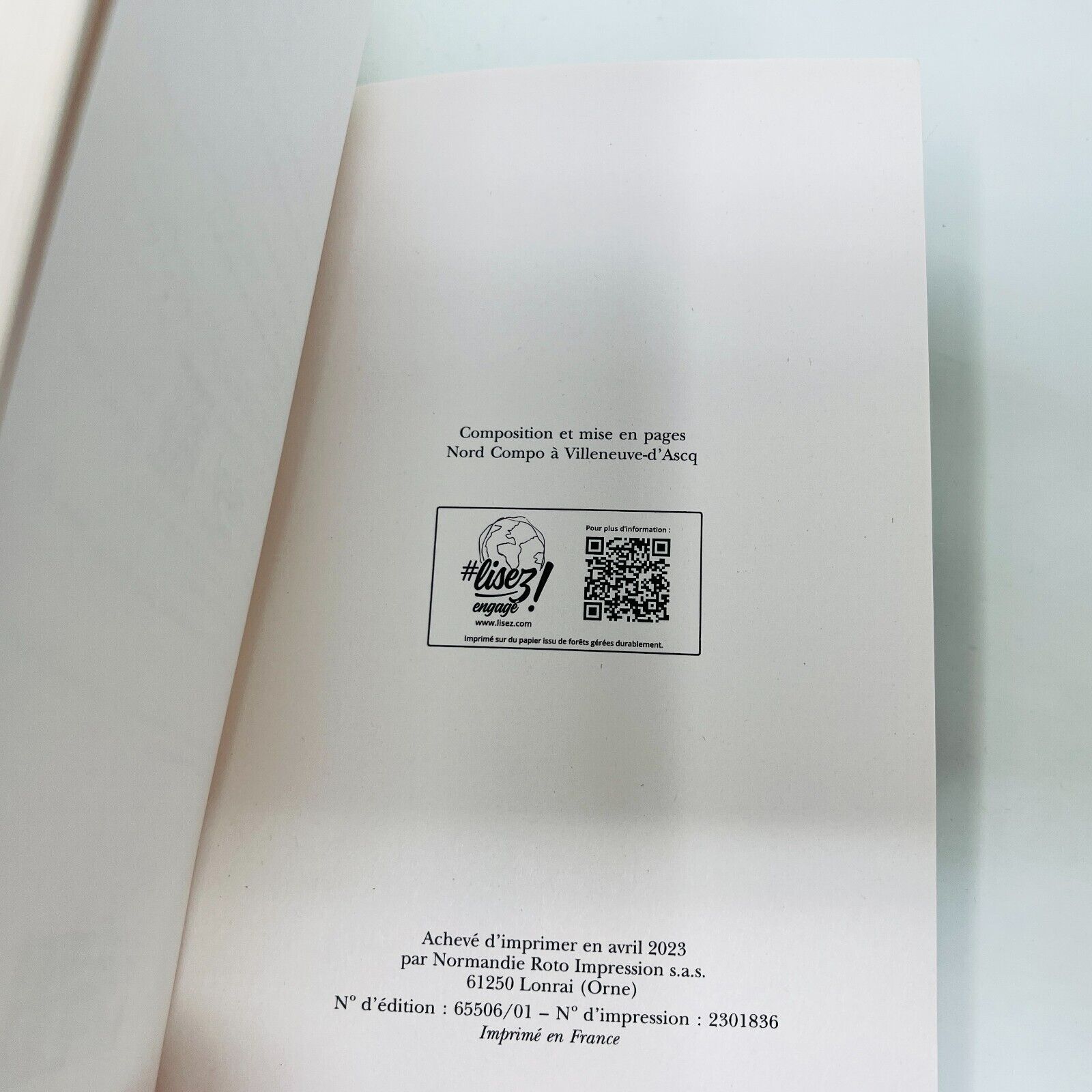 2023 Les Arcanes de Brume Livre 1 La Cartomancienne de Fanny Caldin en Français