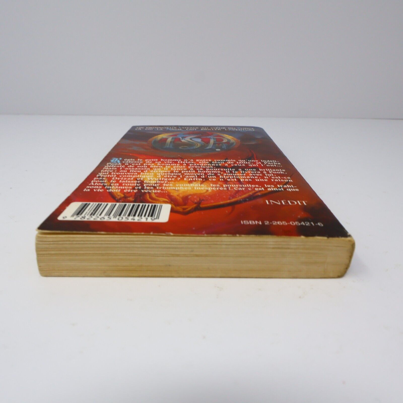 1996 Royaumes Oubliés #17 Le Joyau du Petit Homme La Trilogie du Val Bise Livre