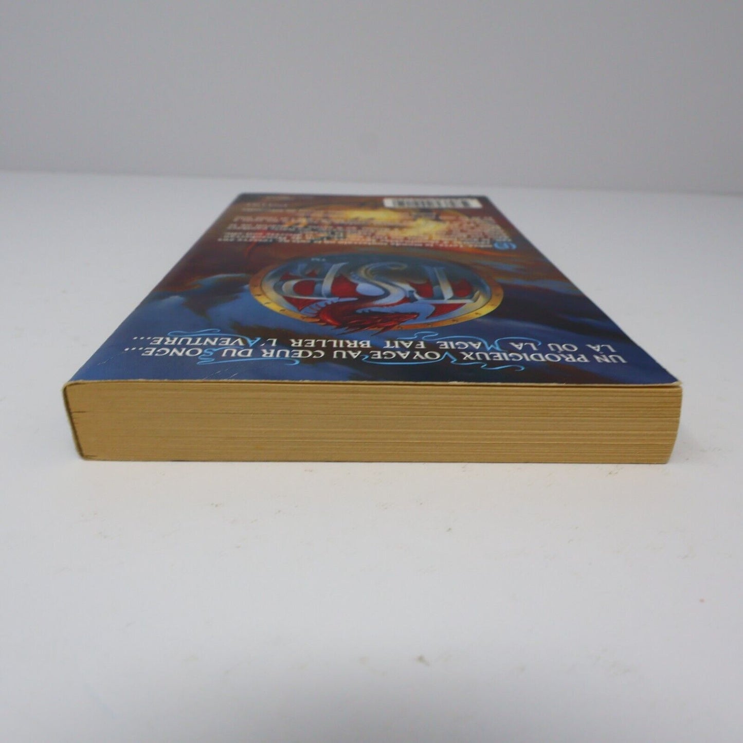 1994 Terre d'Exil Royaumes Oubliés #5 de R. A. Salvatore Forgotten Realms PB 90s