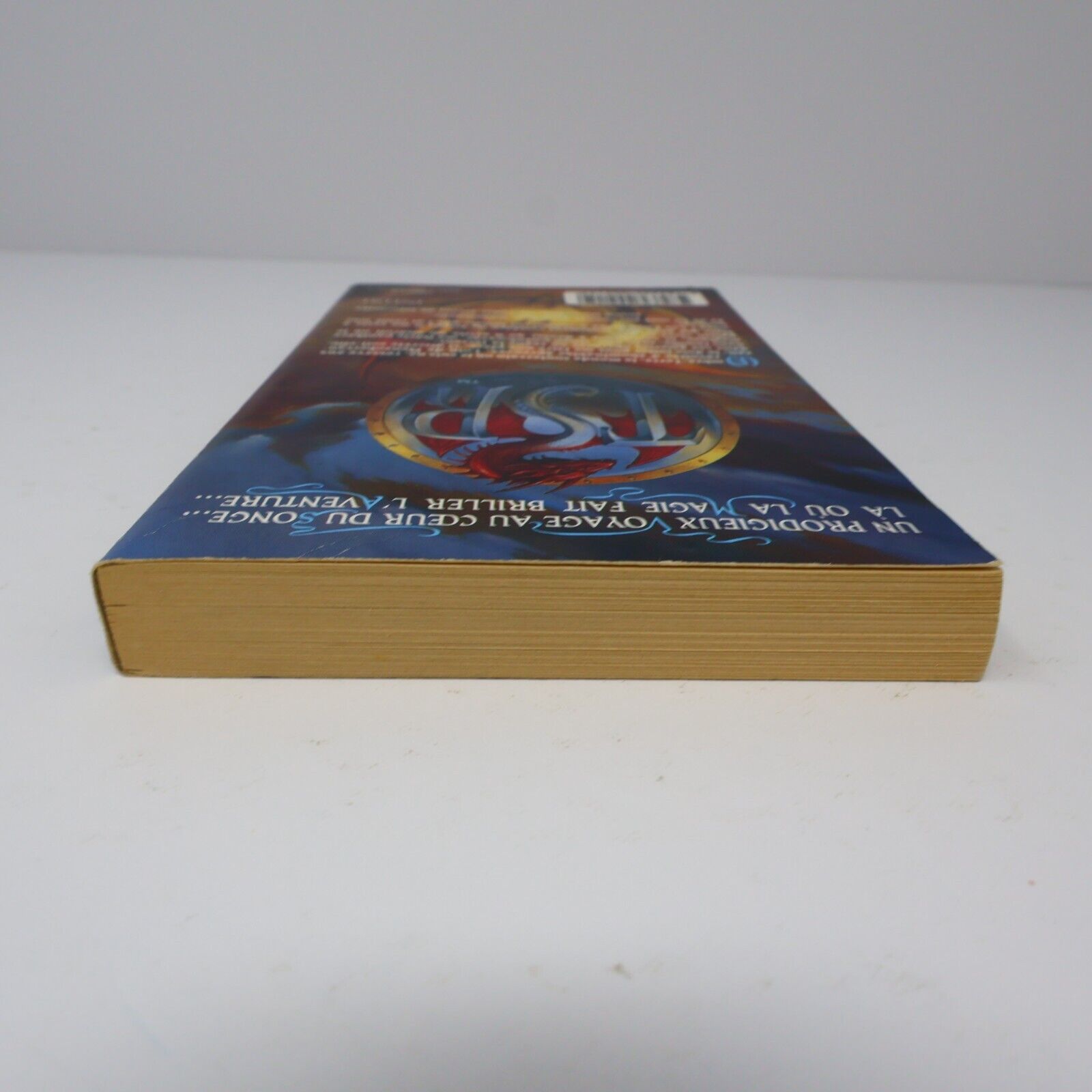 1994 Terre d'Exil Royaumes Oubliés #5 de R. A. Salvatore Forgotten Realms PB 90s