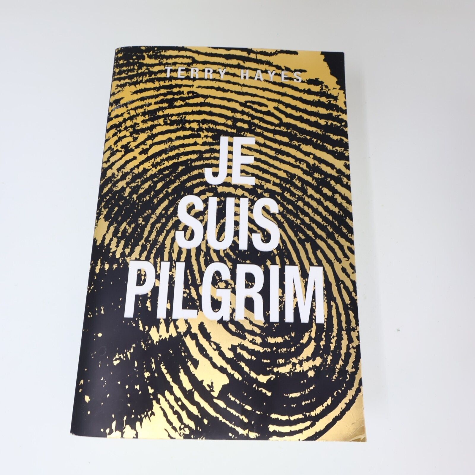 2014 Je Suis Pilgrim Terry Hayes Roman Policier Espionnage Thriller Jc Lattès PB
