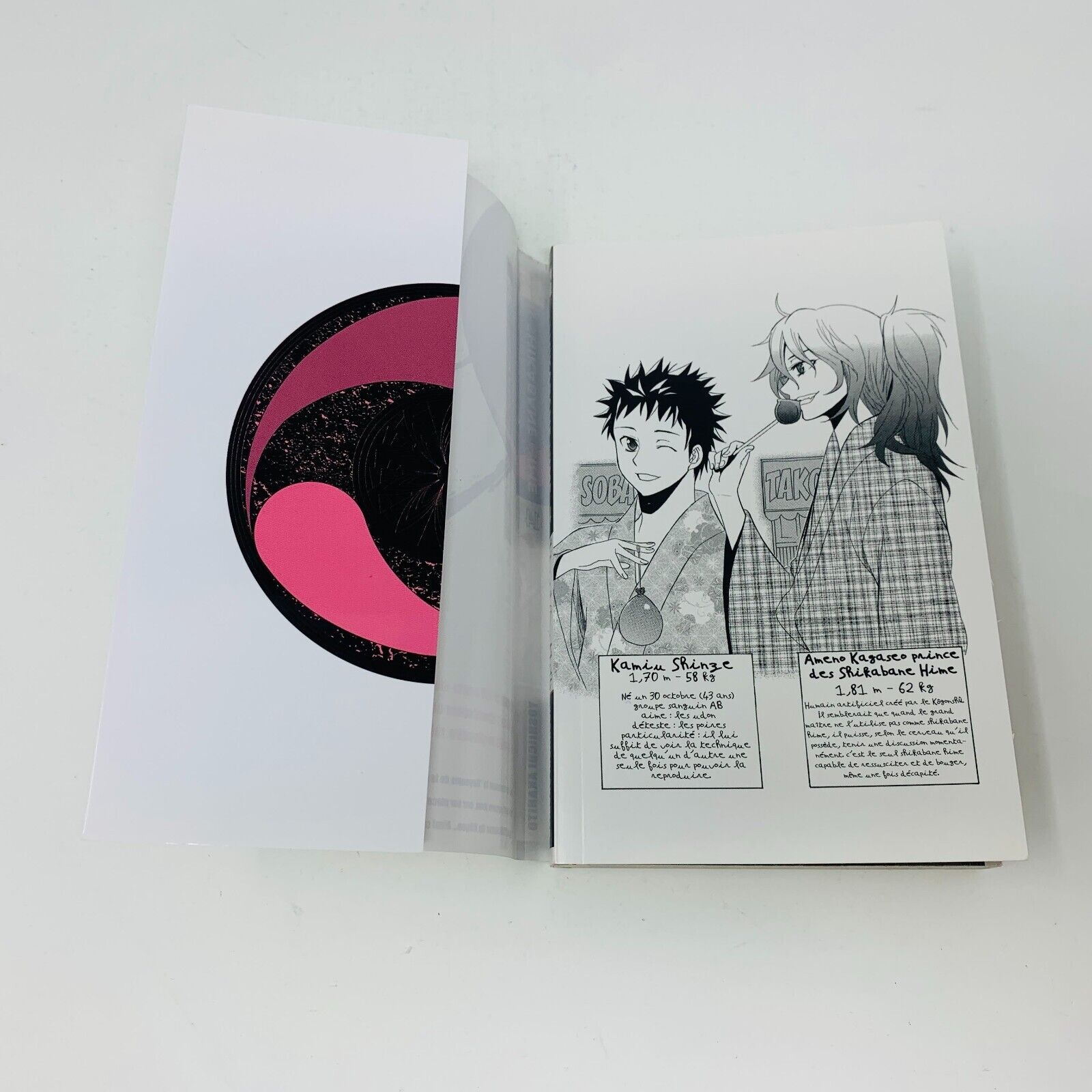 2013 Shikabane Hime Volume 14 Kazé Manga Shonen Up! Français Yoshiichi Akahito