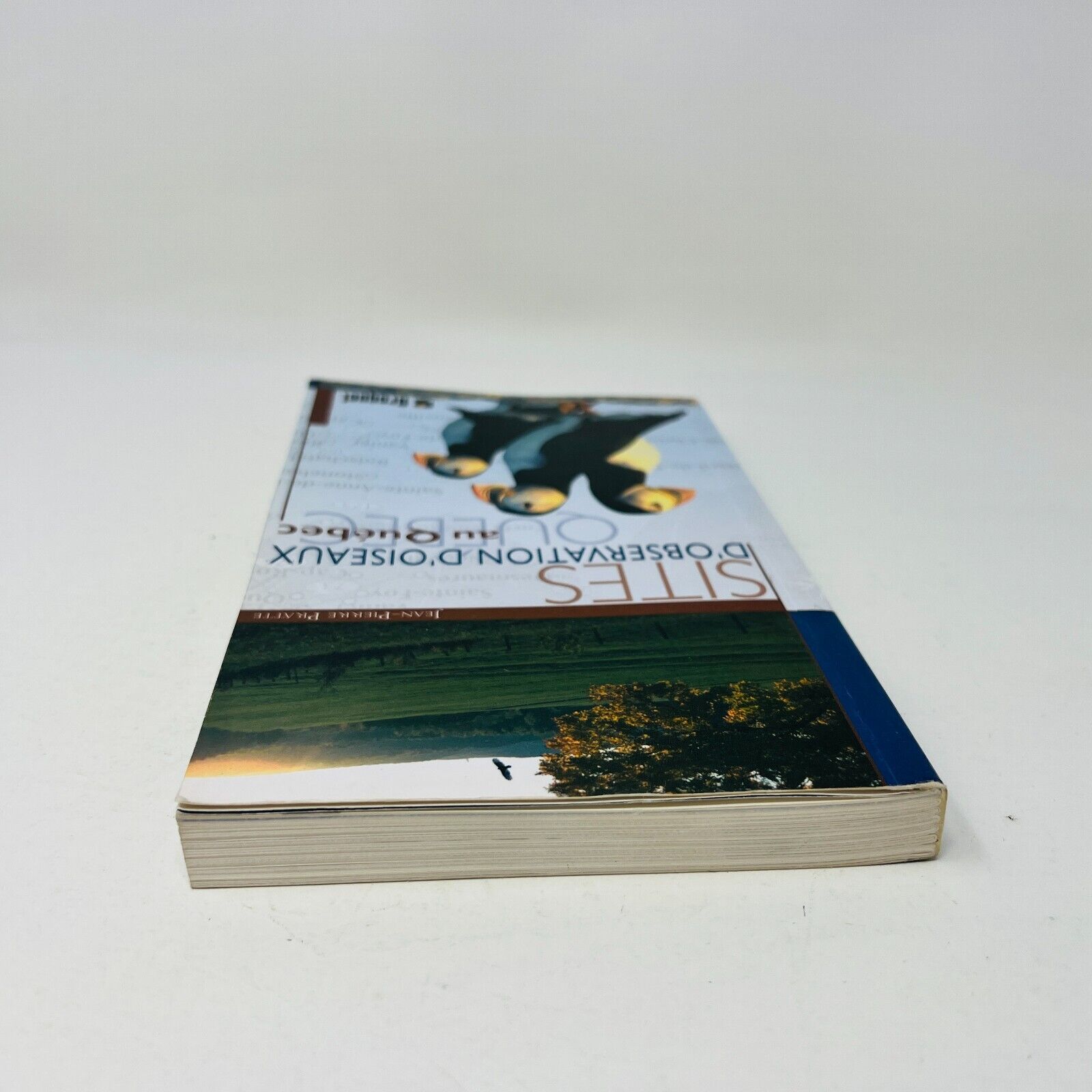 2004 Sites d'Observation d'Oiseaux au Québec Livre de Jean-Pierre Pratte Broquet