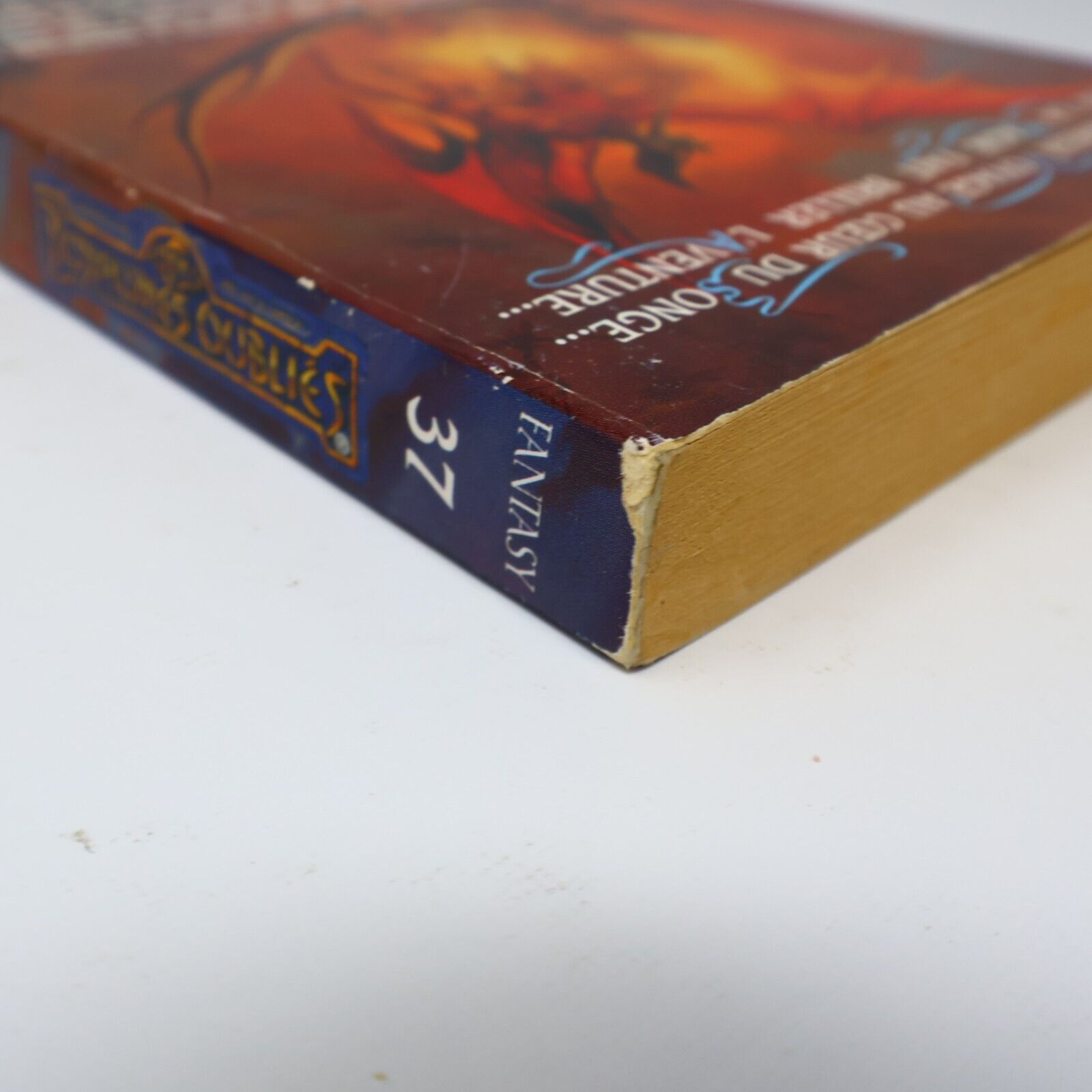 1999 Royaumes Oubliés #37 Vers la Lumière Le Monde d'Ombre-Terre Fantasy Livre