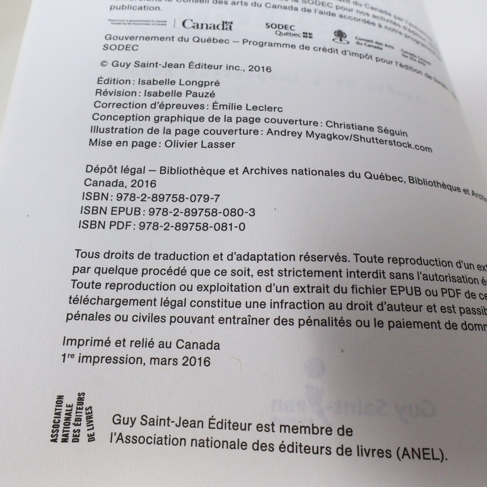 2016 Terreur Domestique Guillaume Morrissette Une Enquête de l'Inspecteur Héroux