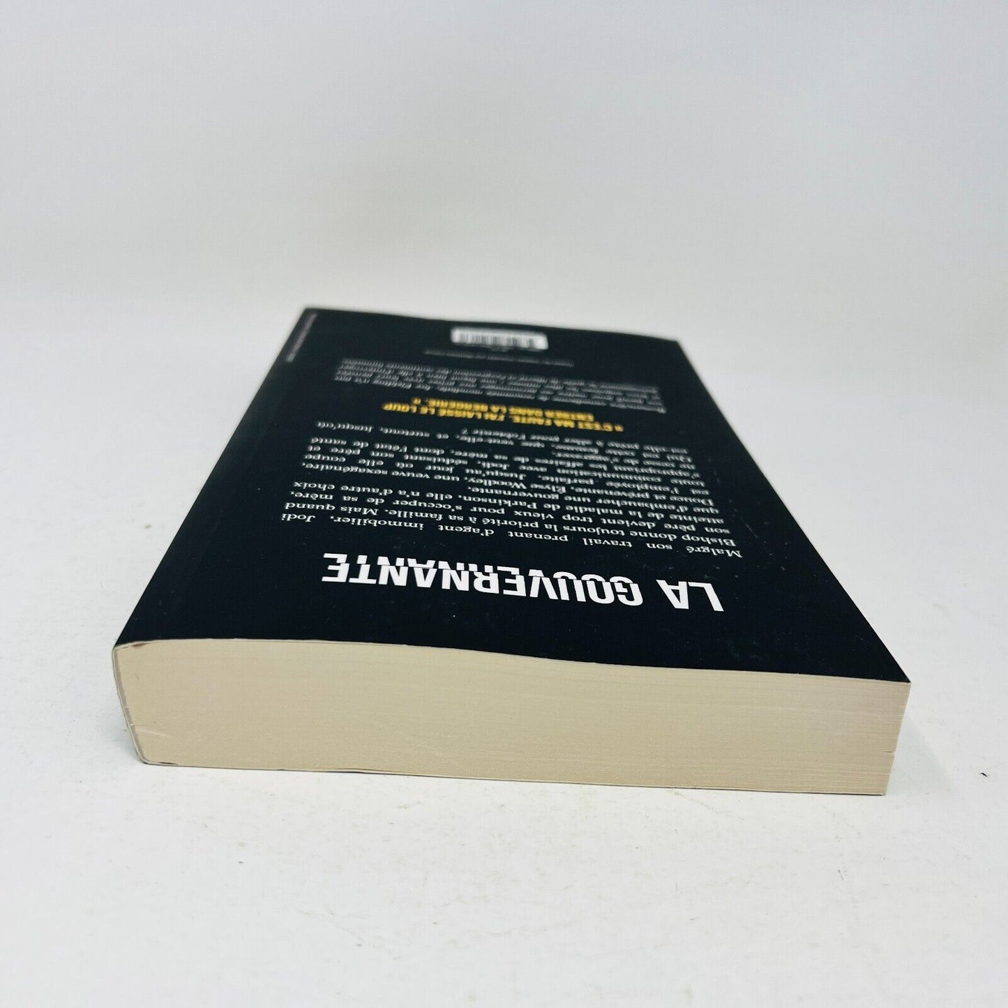 2022 La Gouvernante de Joy Fielding Mystère Thriller Français Livre Michel Lafon