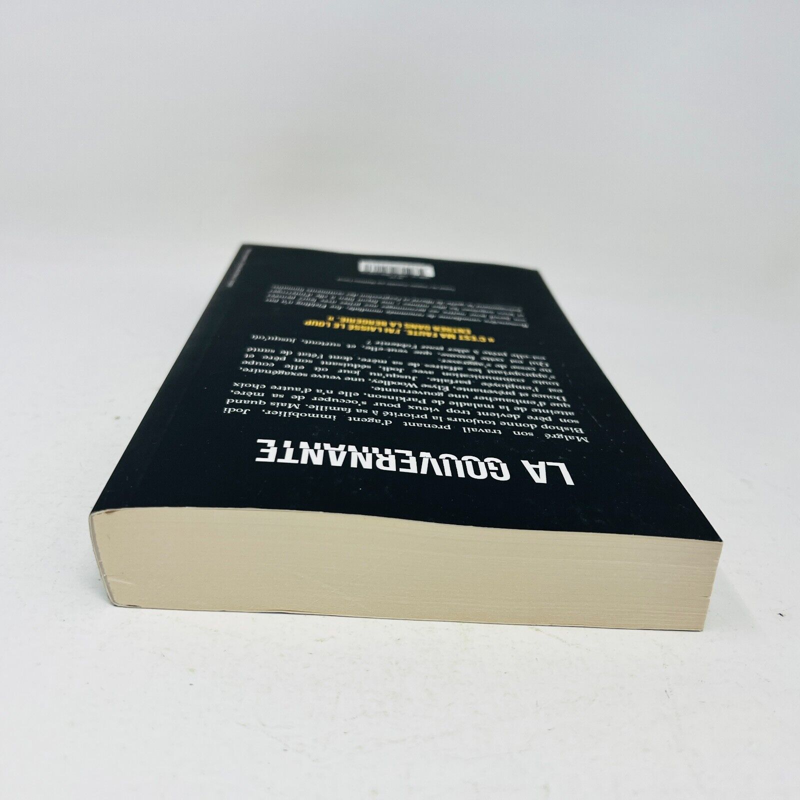 2022 La Gouvernante de Joy Fielding Mystère Thriller Français Livre Michel Lafon