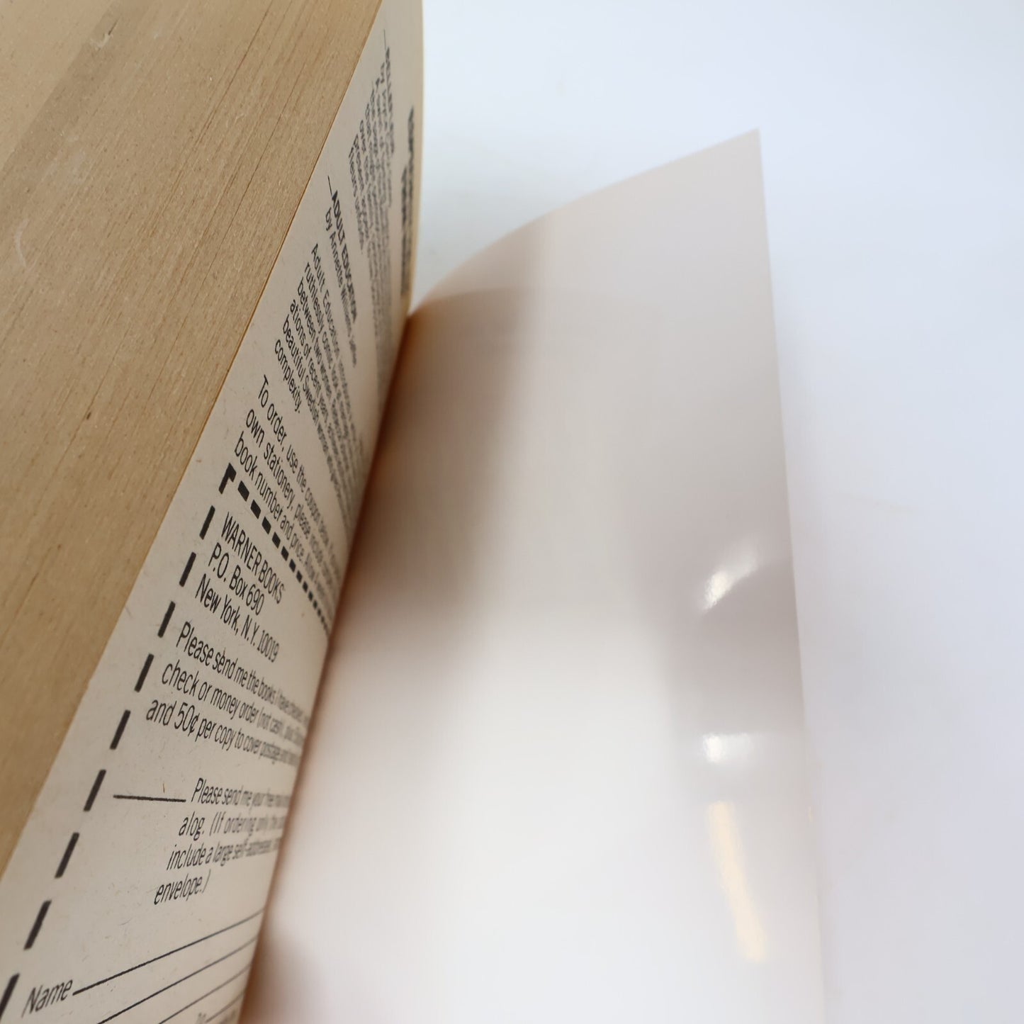 1982 Angel of Light Joyce Carol Oates Warner Historical Fiction Thriller Book PB