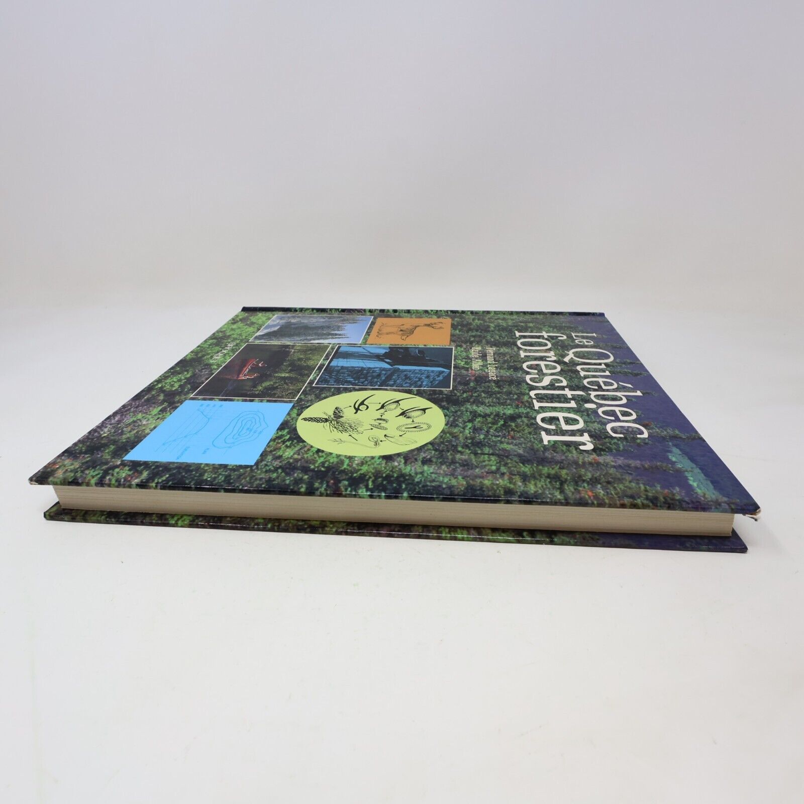 1991 Le Québec Forestier Lagacé/Allen Hardcover HC Broquet Nature Faune Flore
