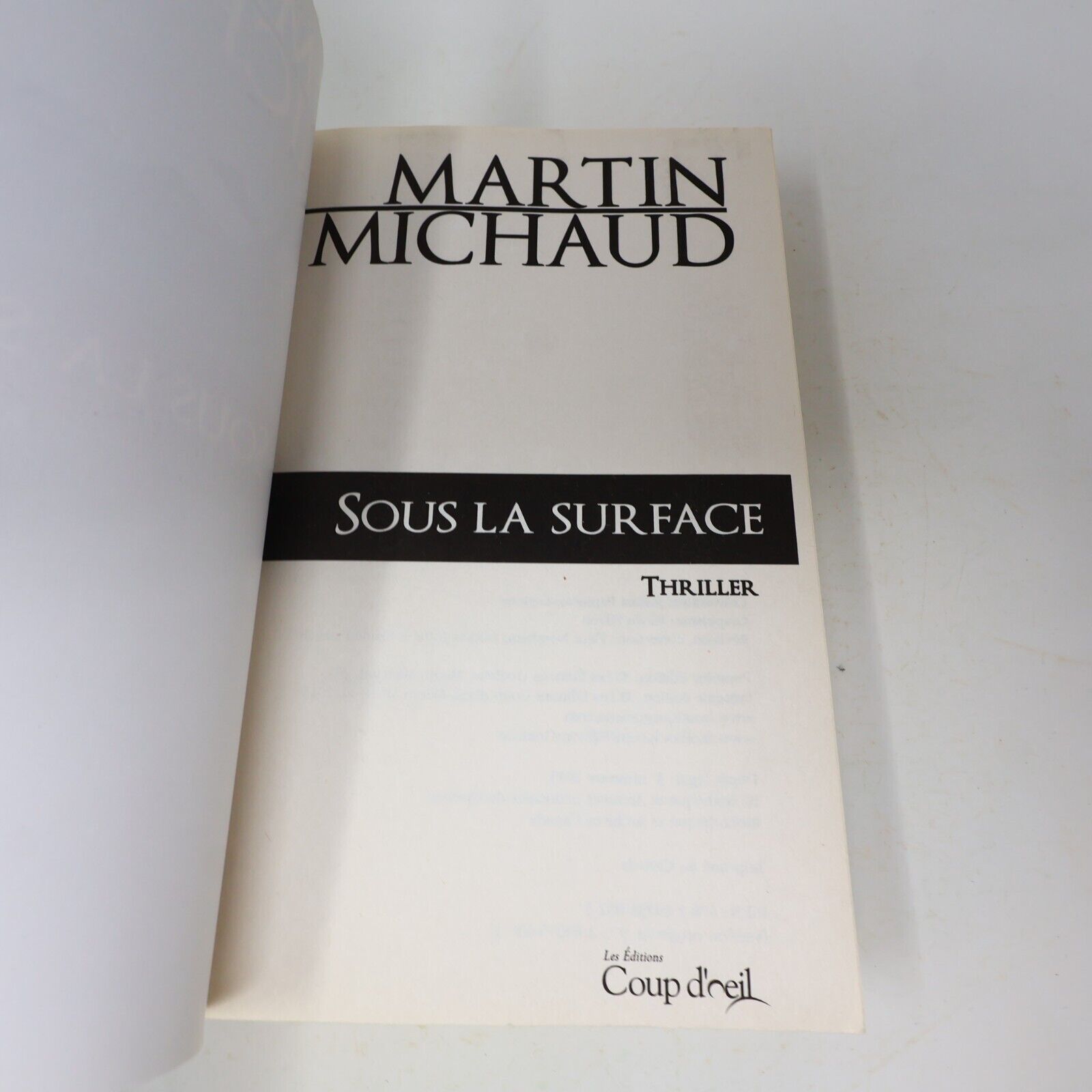2015 Sous la Surface Martin Michaud Thriller Coup d'Oeil Français Livre 2010s PB