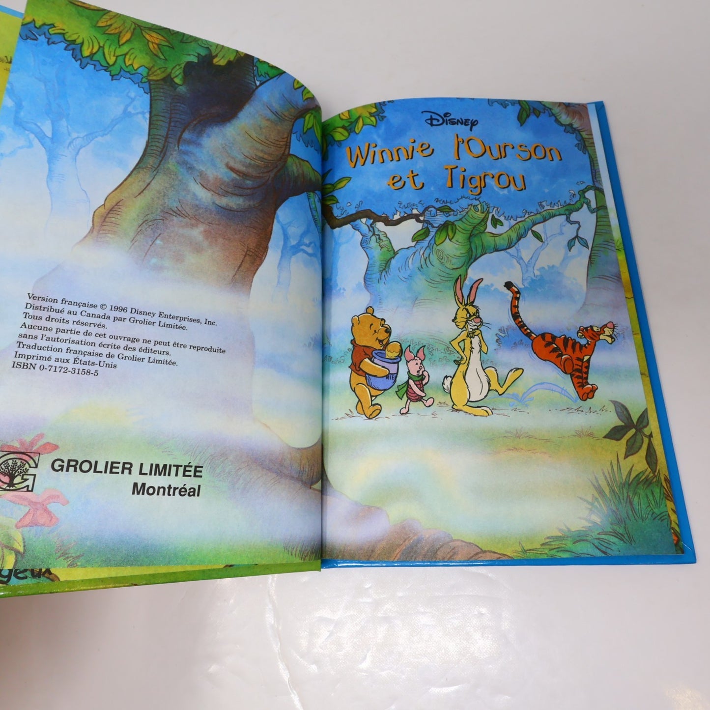 Mickey Club du Livre Lot 15 Livres Le Livre de la Jungle/Bambi Grolier Enfants