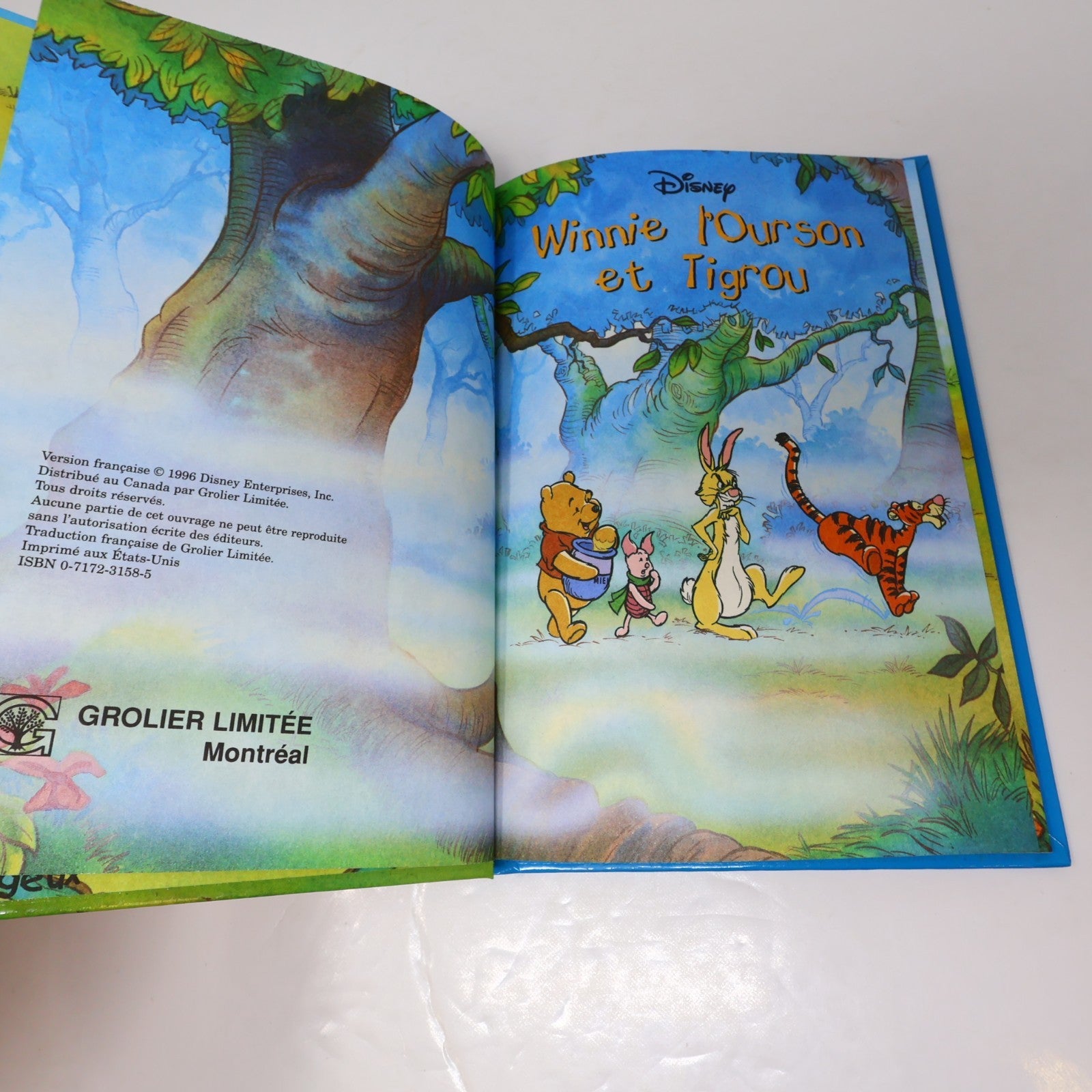 Mickey Club du Livre Lot 15 Livres Le Livre de la Jungle/Bambi Grolier Enfants