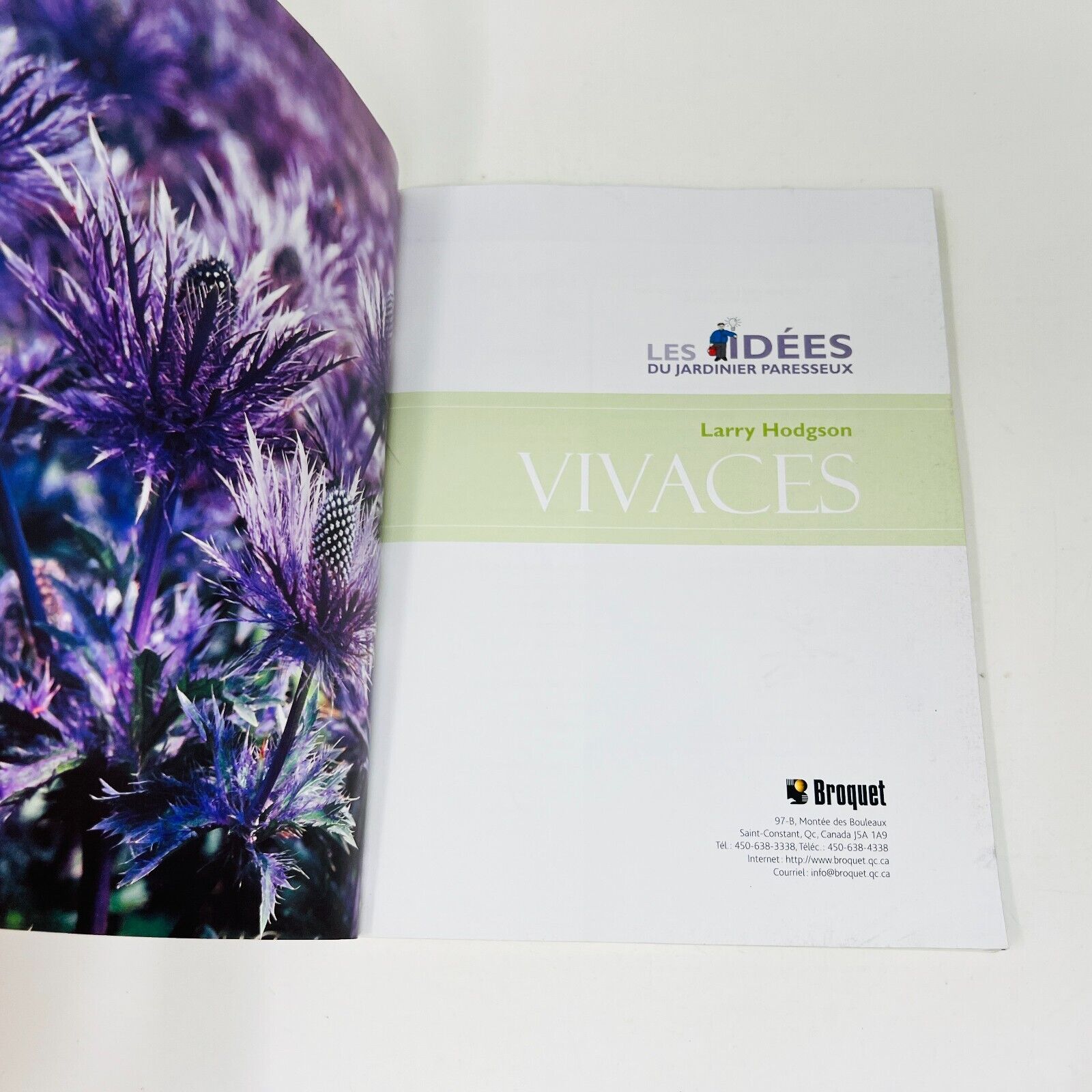 2007 Vivaces Les Idées du Jardinier Paresseux de Larry Hodgson Livre Broquet