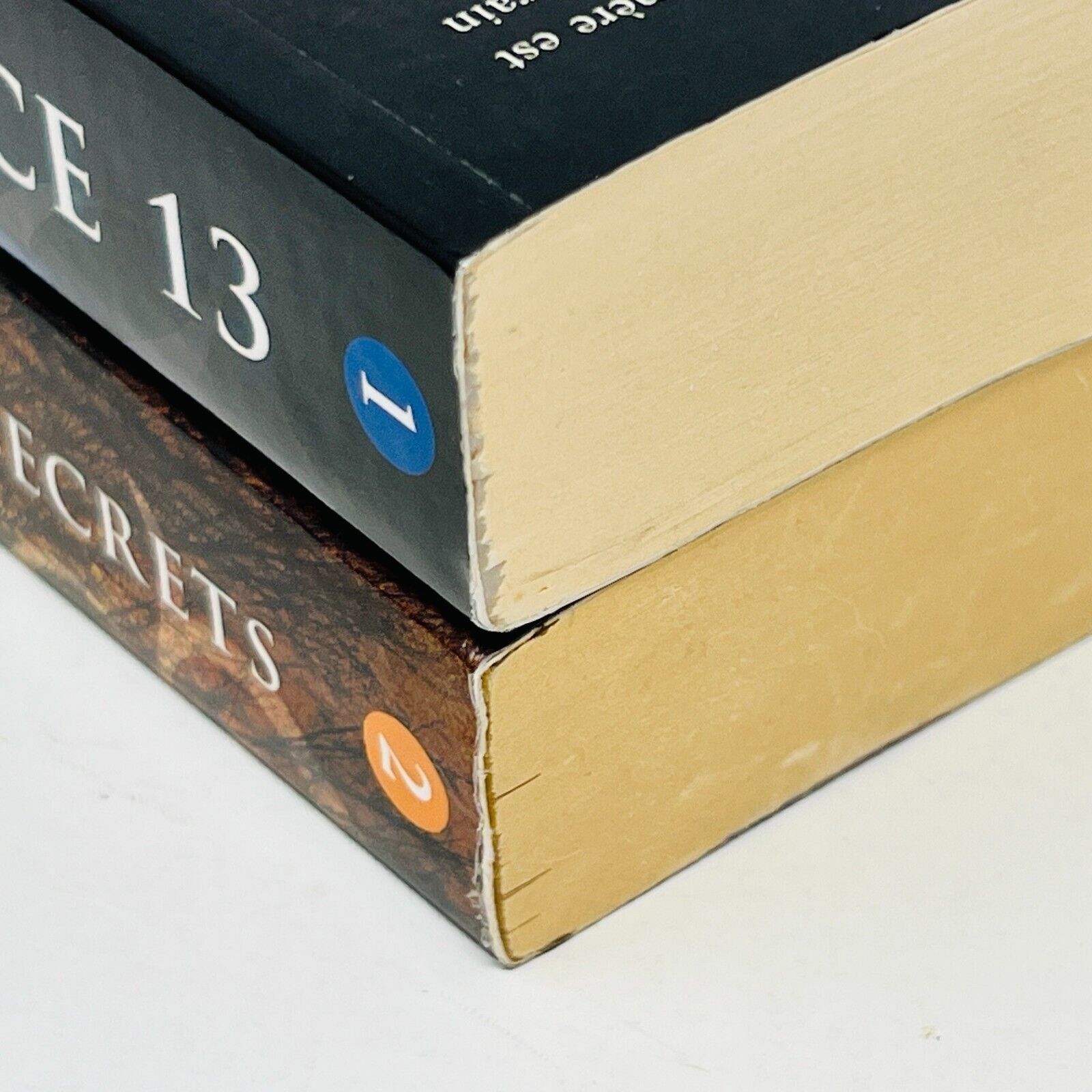 Sentence 13 #1-2 de Shannon Delany Ada en Français/French Lot Ombres et Secrets