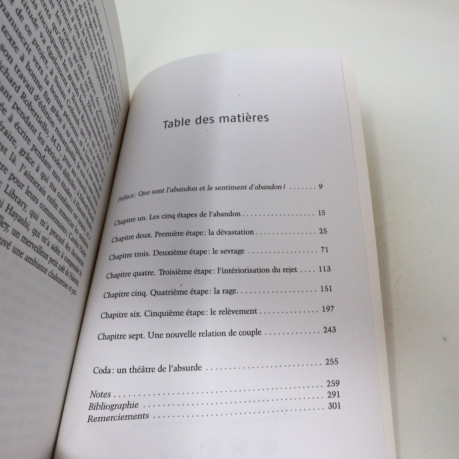 2009 Survivre à la Peine d'Amour Susan Anderson Psychologie Deuil Couple Livre