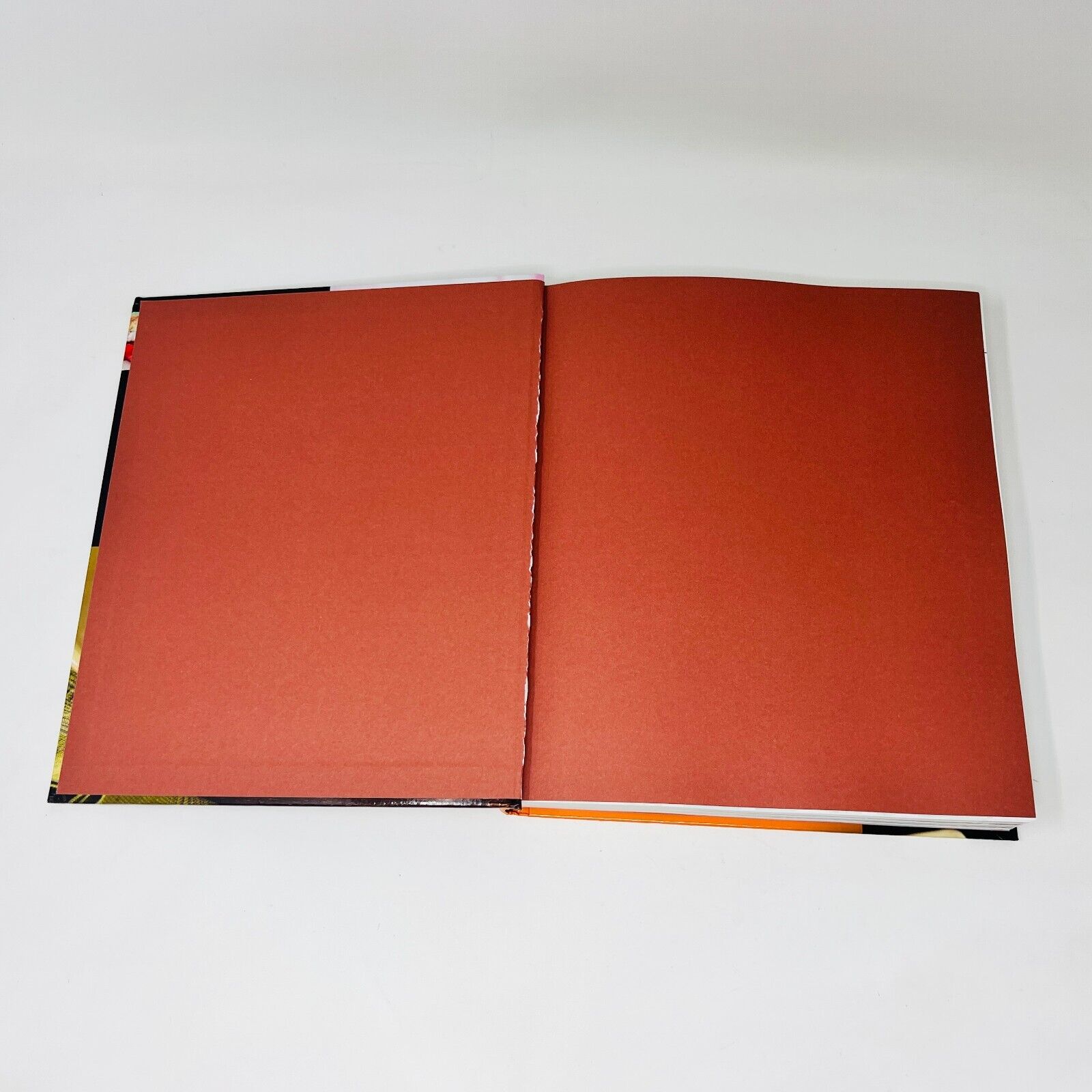 Lot de 2 Livres de Recettes Sans Gluten 21 Jours de Menus/Grand Livre Français
