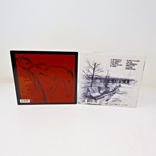 Yves Desrosiers Lot 2 CD Volodia/Bordel De Tête Audiogram Pas Besoin/Saint-Exu