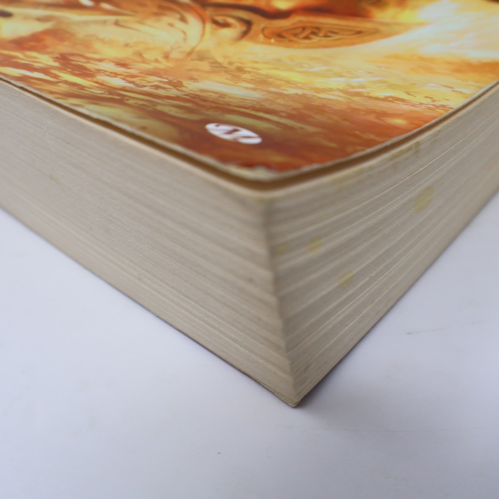 Gauntlgrym R. A. Salvatore Neverwinter #1 Les Royaumes Oubliés D&D 2012 PB Livre
