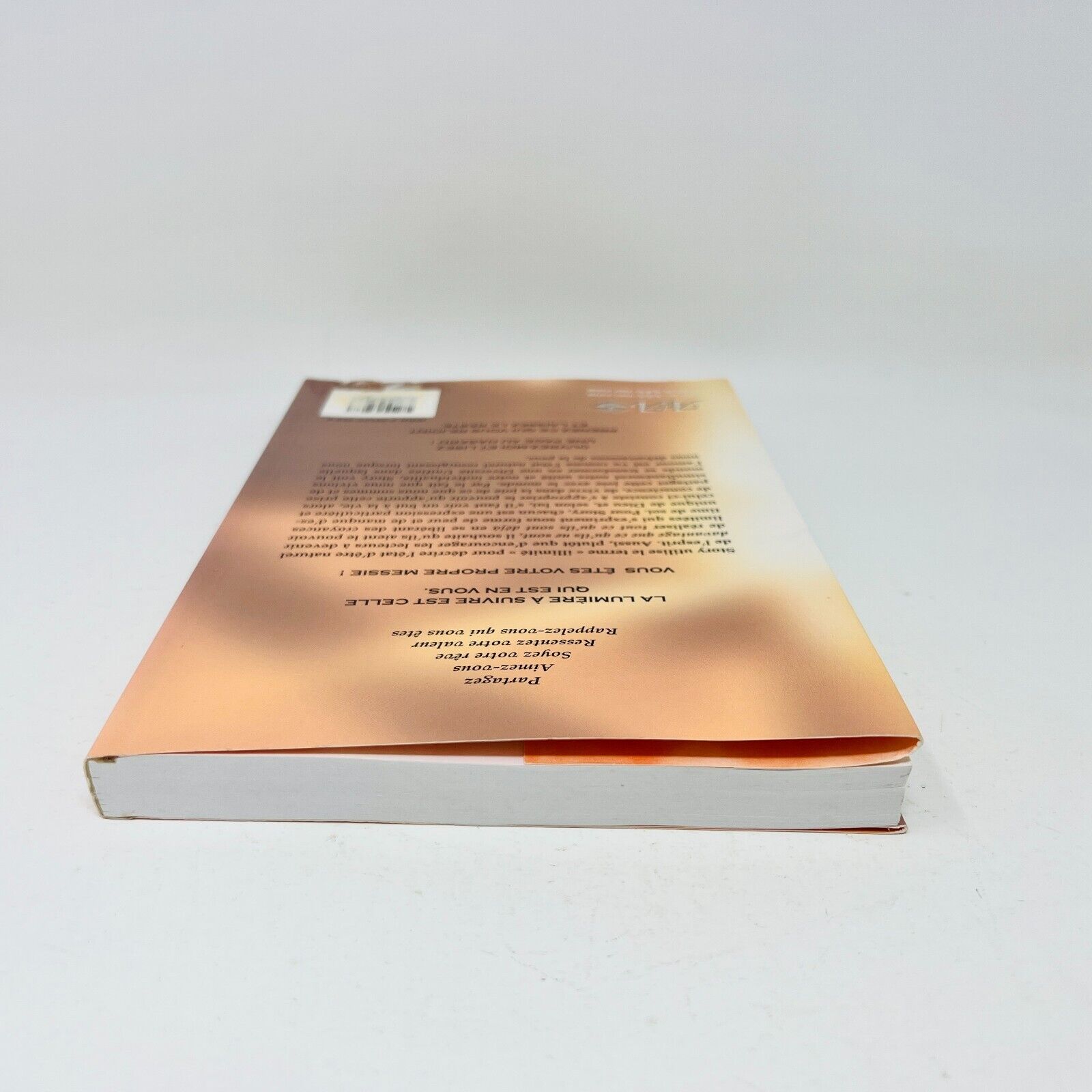 2005 Les Semences du Messie Volume 1 de Story Waters ADA Français Spiritualité