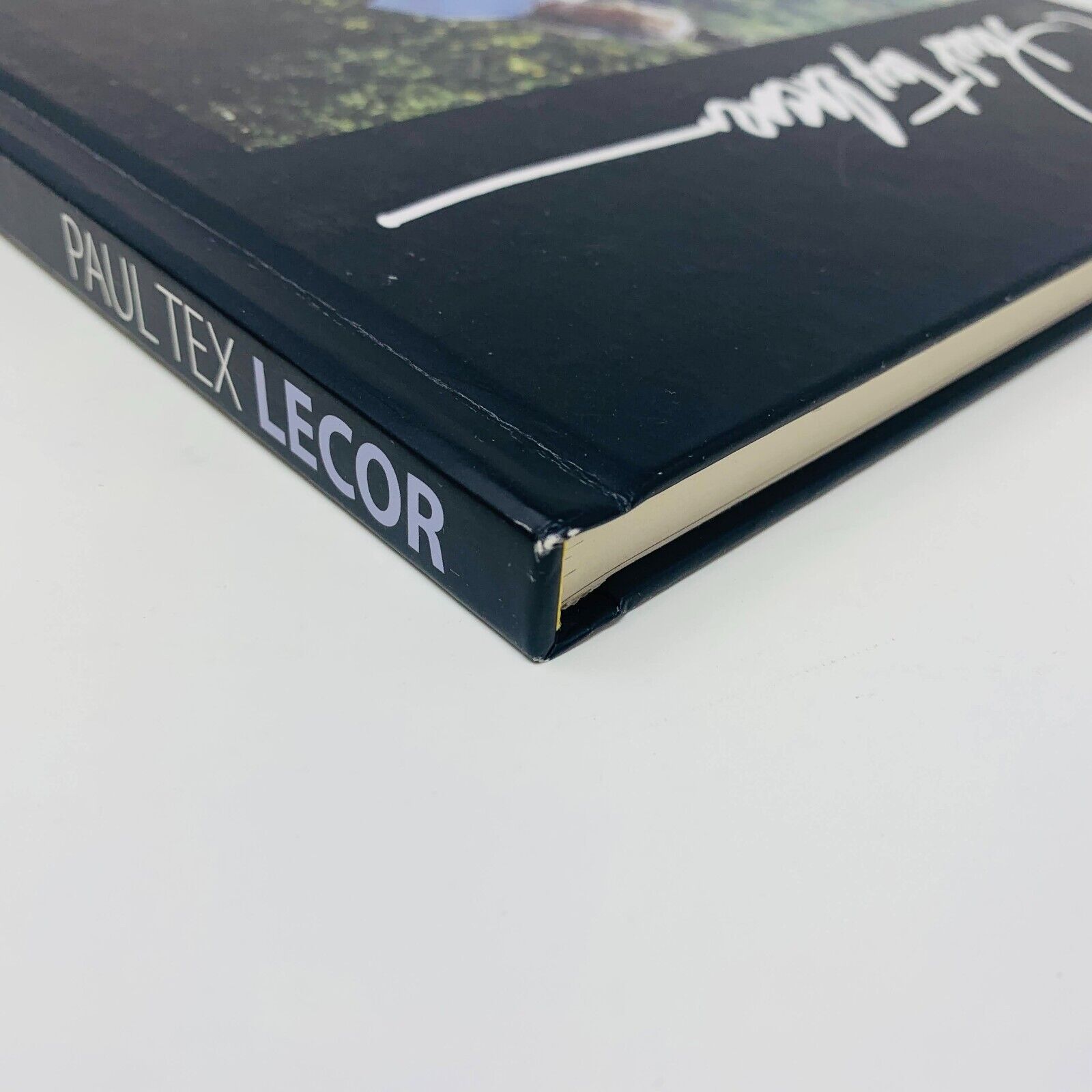 2013 Paul Tex Lecor Mon Monde Pour Vous Français/Anglais Livre sur Peintures Art