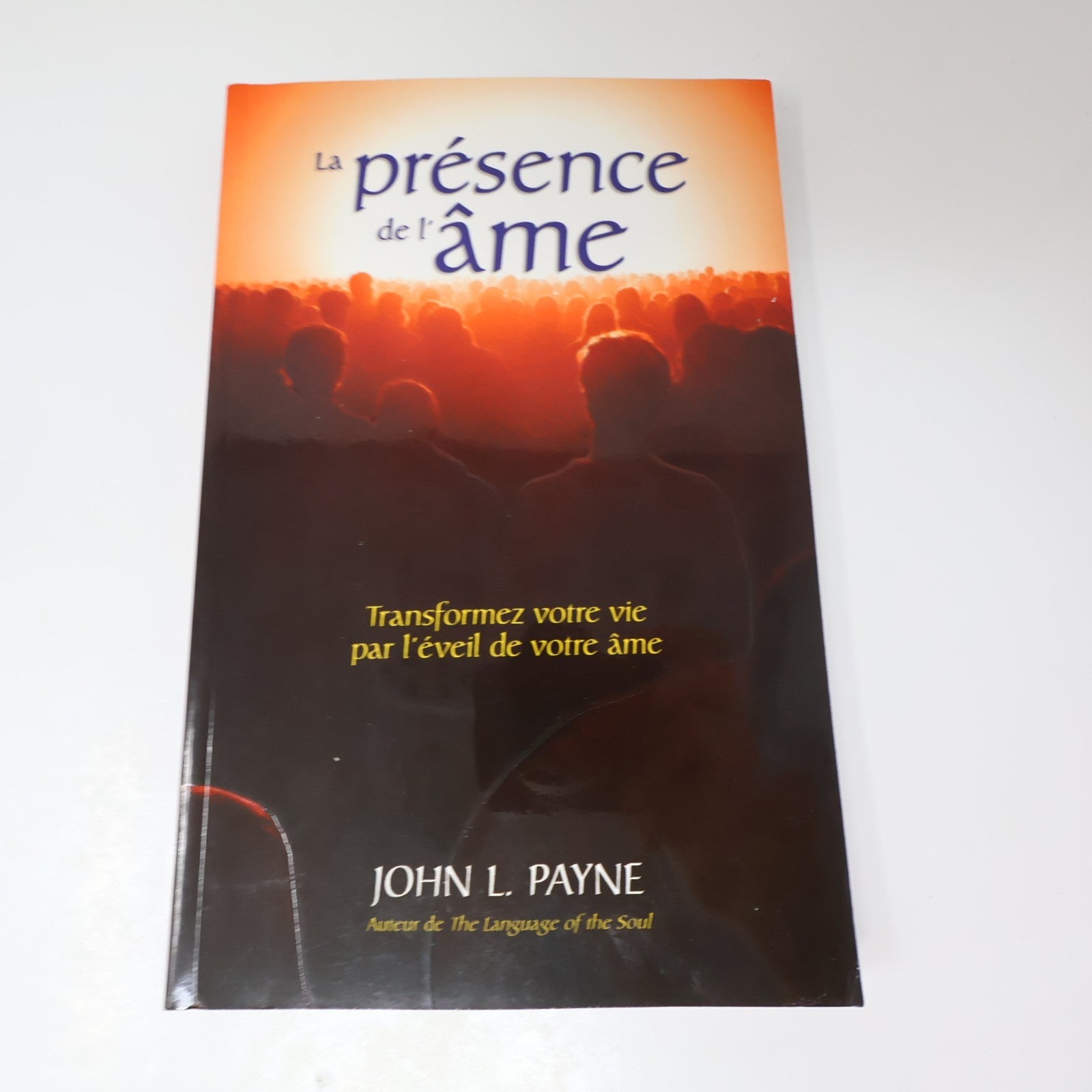 La Présence de l'Âme John Payne Ada 2009 PB Français French Ésotérisme Paperback