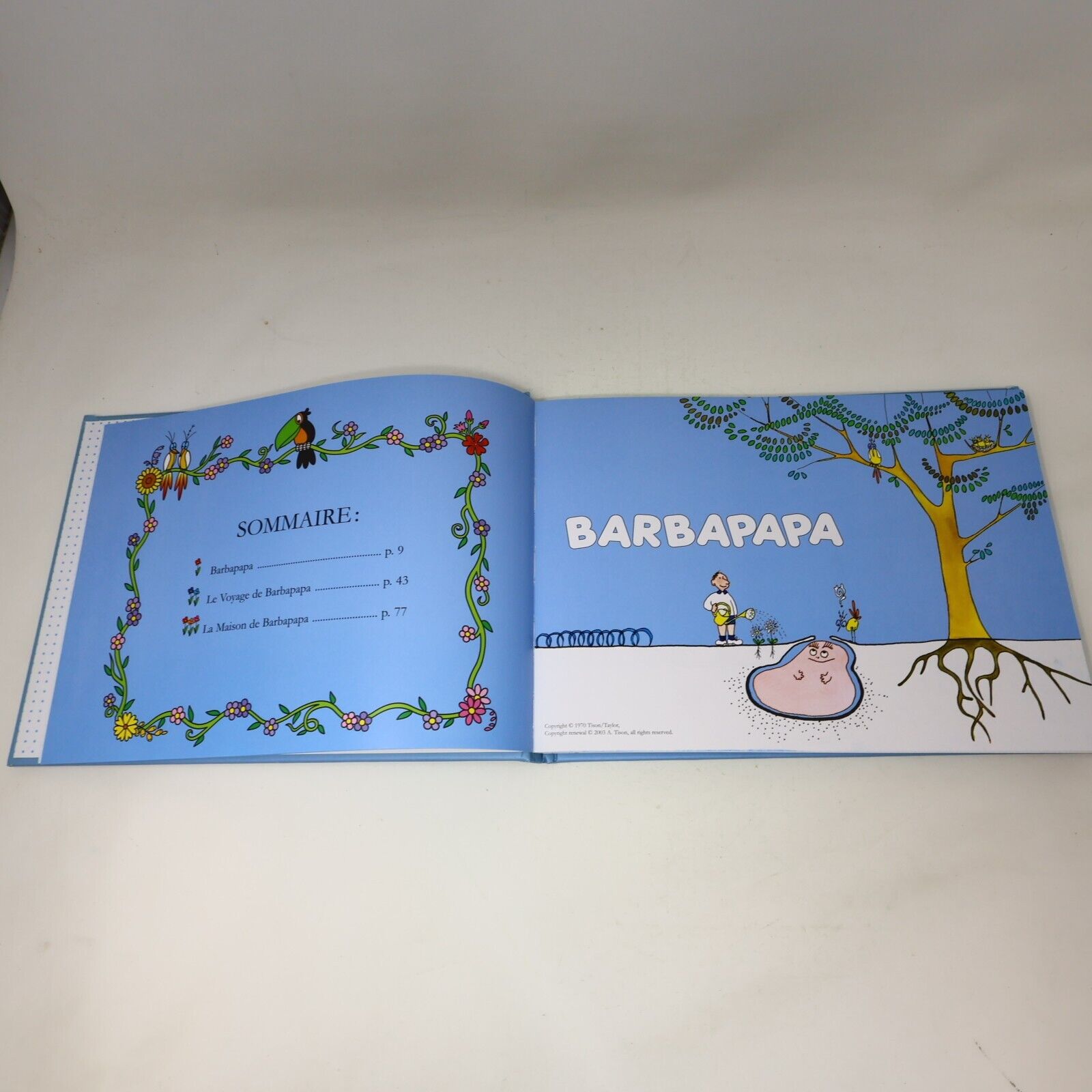 Barbapapa Lot 2 Livres Vacances Belles Histoires Enfants Dragon d'Or Français HC