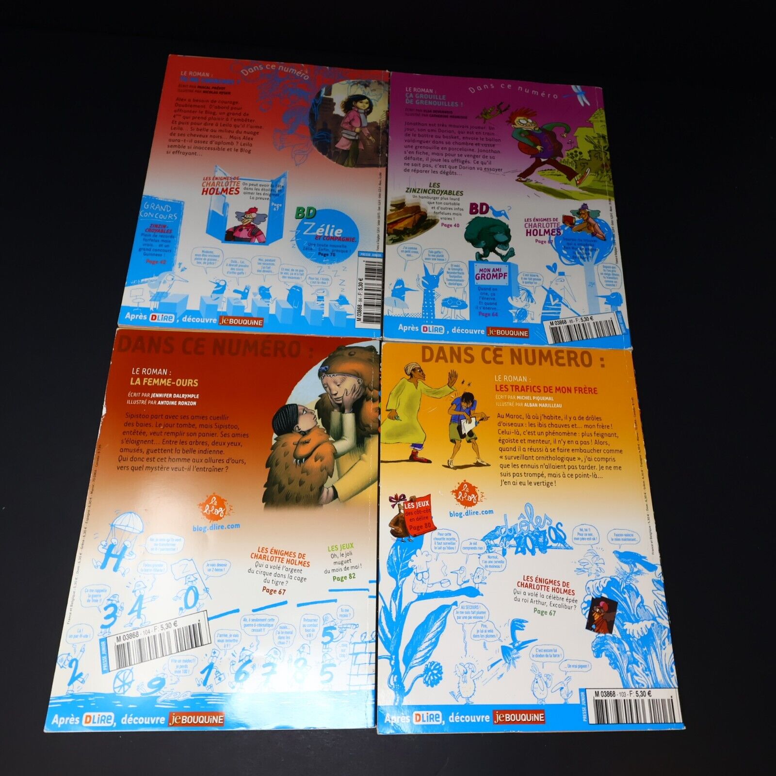Lot 10 Magazines DLire Enfants Magazine Bayard Le Maître et les Elfes Français