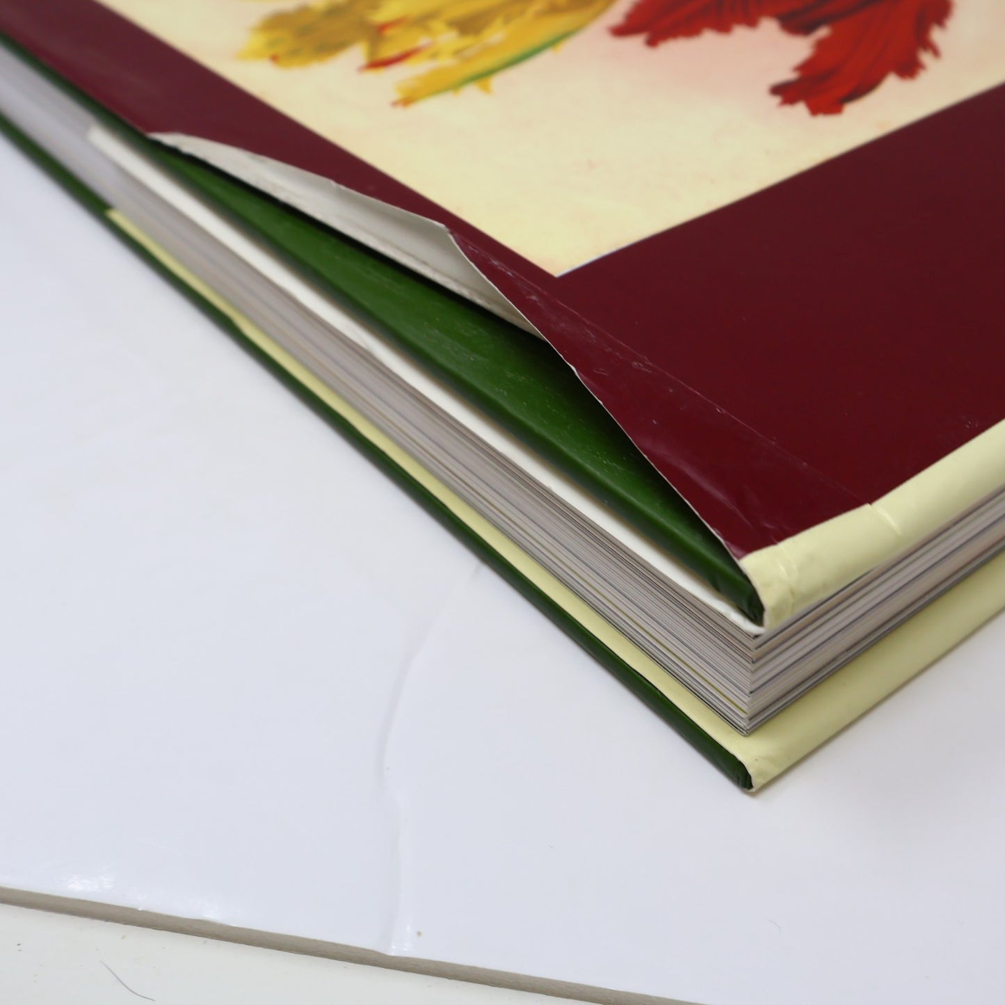 The Tulip Anthology Ron Van Dongen Chronicle Books 2010 HC DJ Art Photography