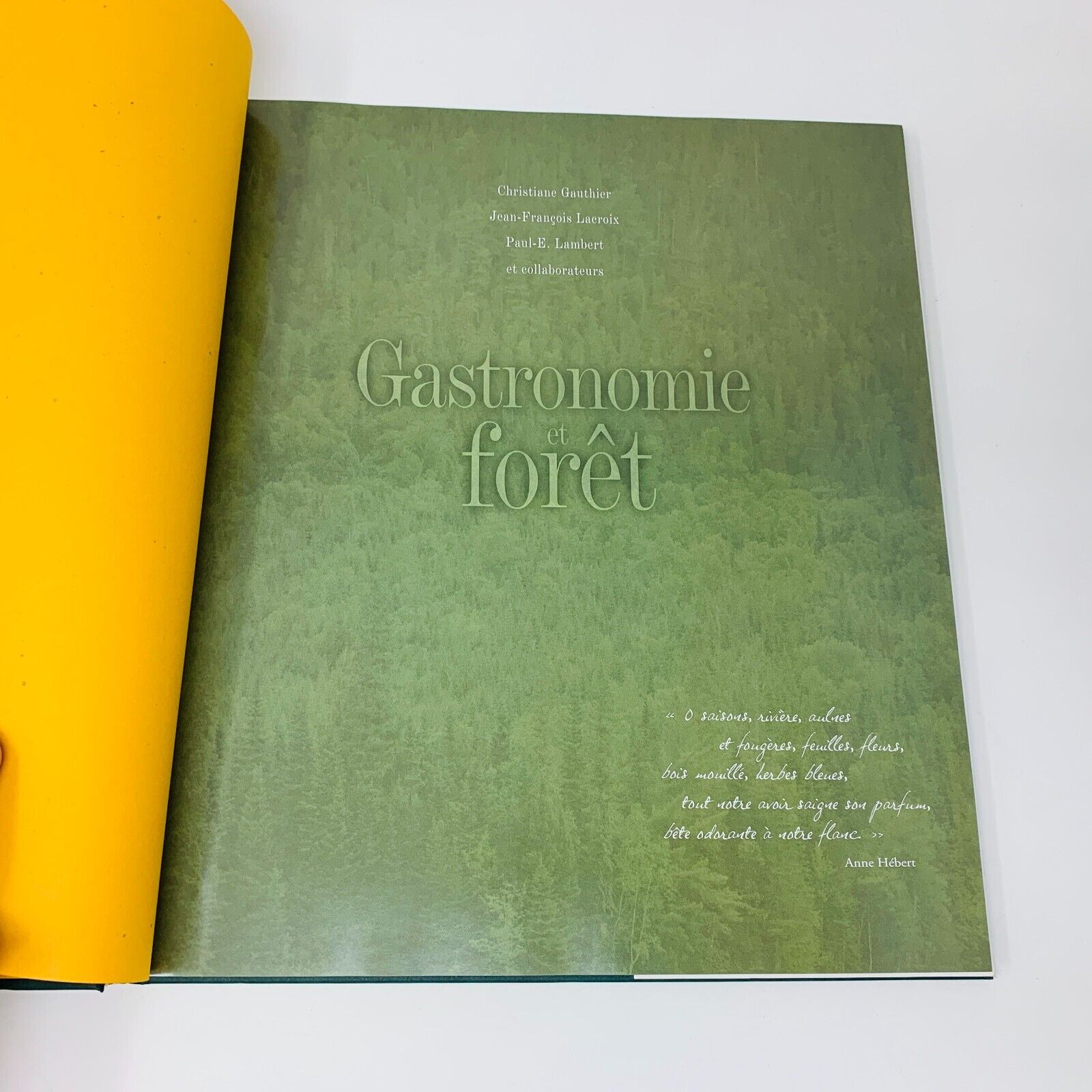 2003 Gastronomie en Forêt Gesti-Faune Livre Recettes Cuisine en Français French