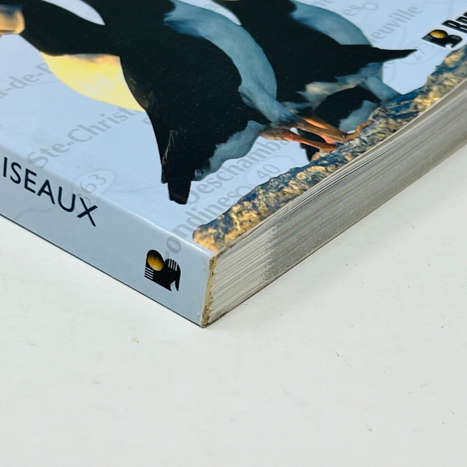 2004 Sites d'Observation d'Oiseaux au Québec Livre de Jean-Pierre Pratte Broquet