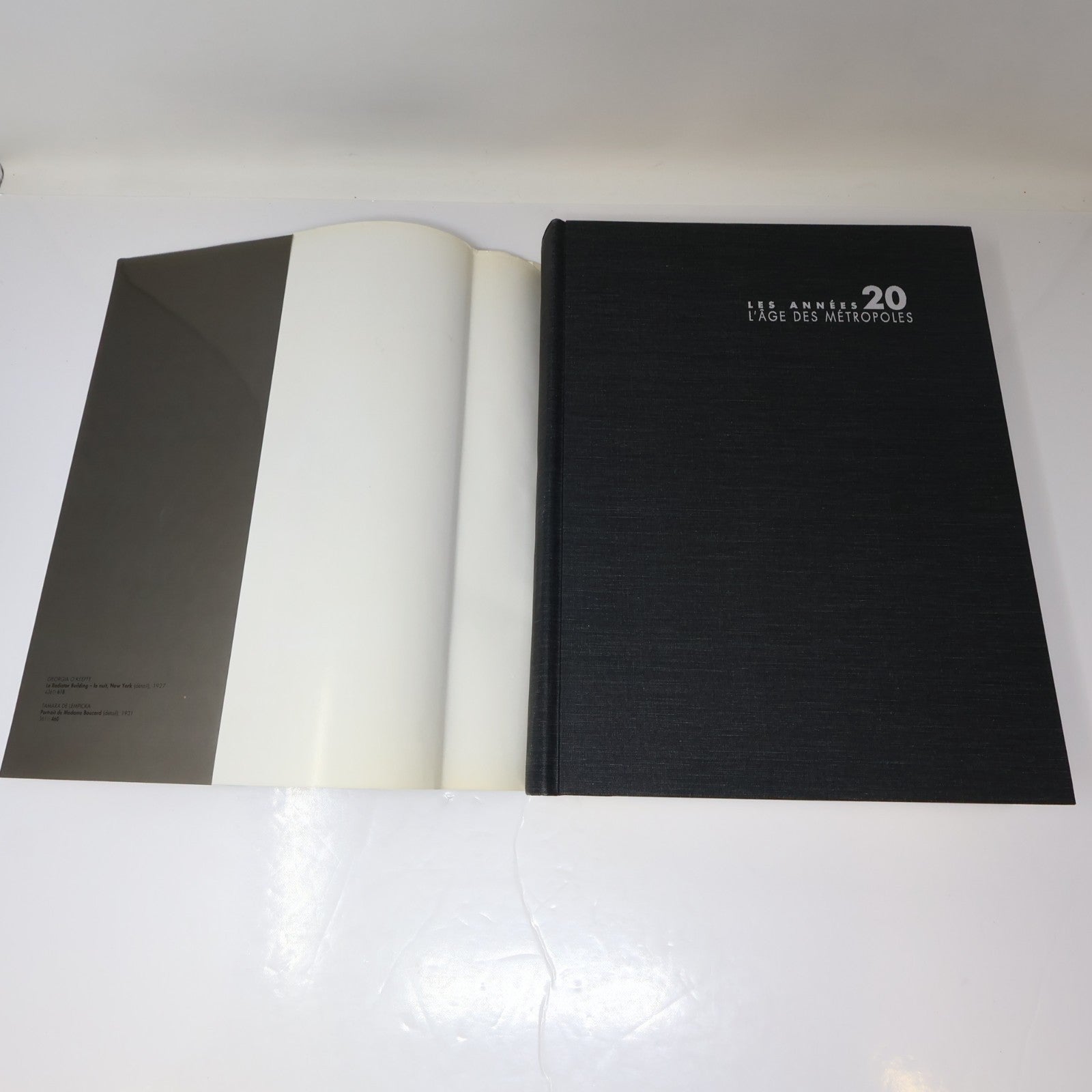 Les Années 20 L'âge des Métropoles MBAM Catalogue Exposition 1991 HC Français