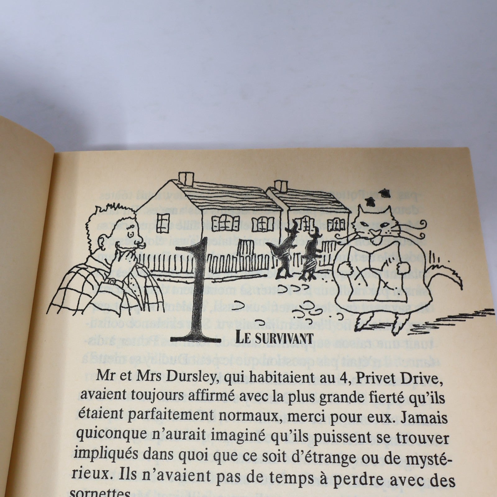 Harry Potter à l'École des Sorciers 1ère Édition Illustrée octobre 1999 Rowling