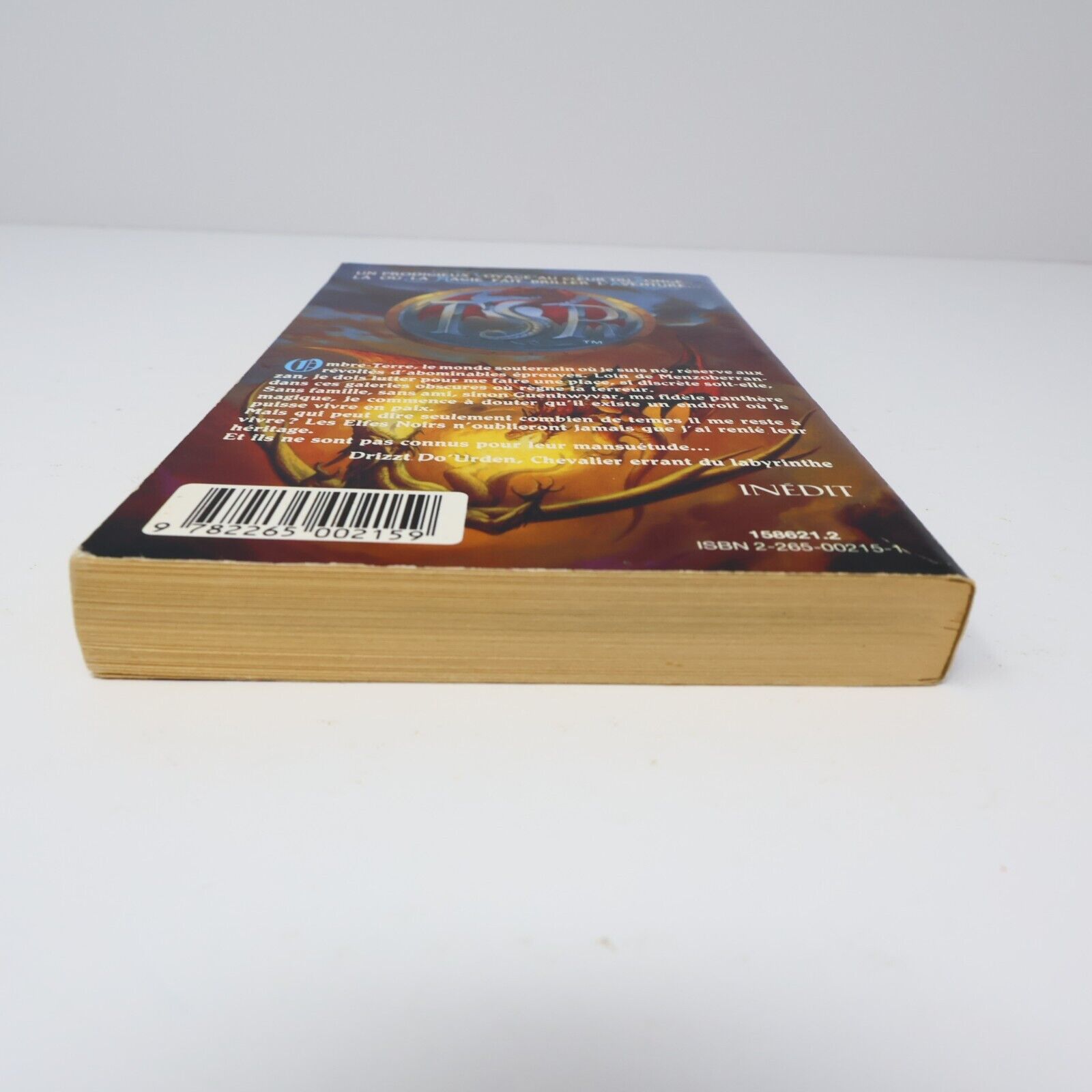 1994 Terre d'Exil Royaumes Oubliés #5 de R. A. Salvatore Forgotten Realms PB 90s