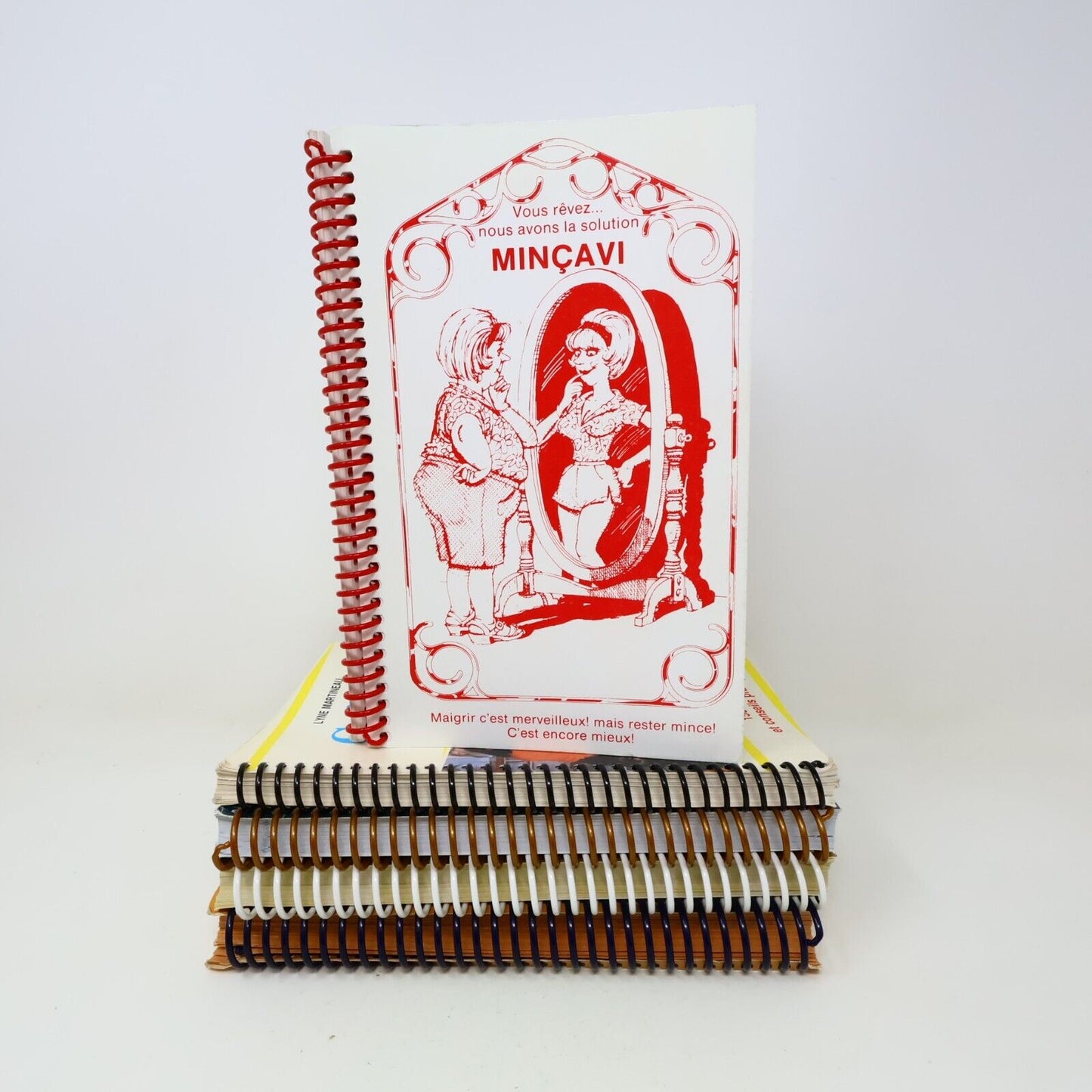 Lot 5 Livres Recettes Cuisine Minçavi #1-5 de Lyne Martineau Français 90s French