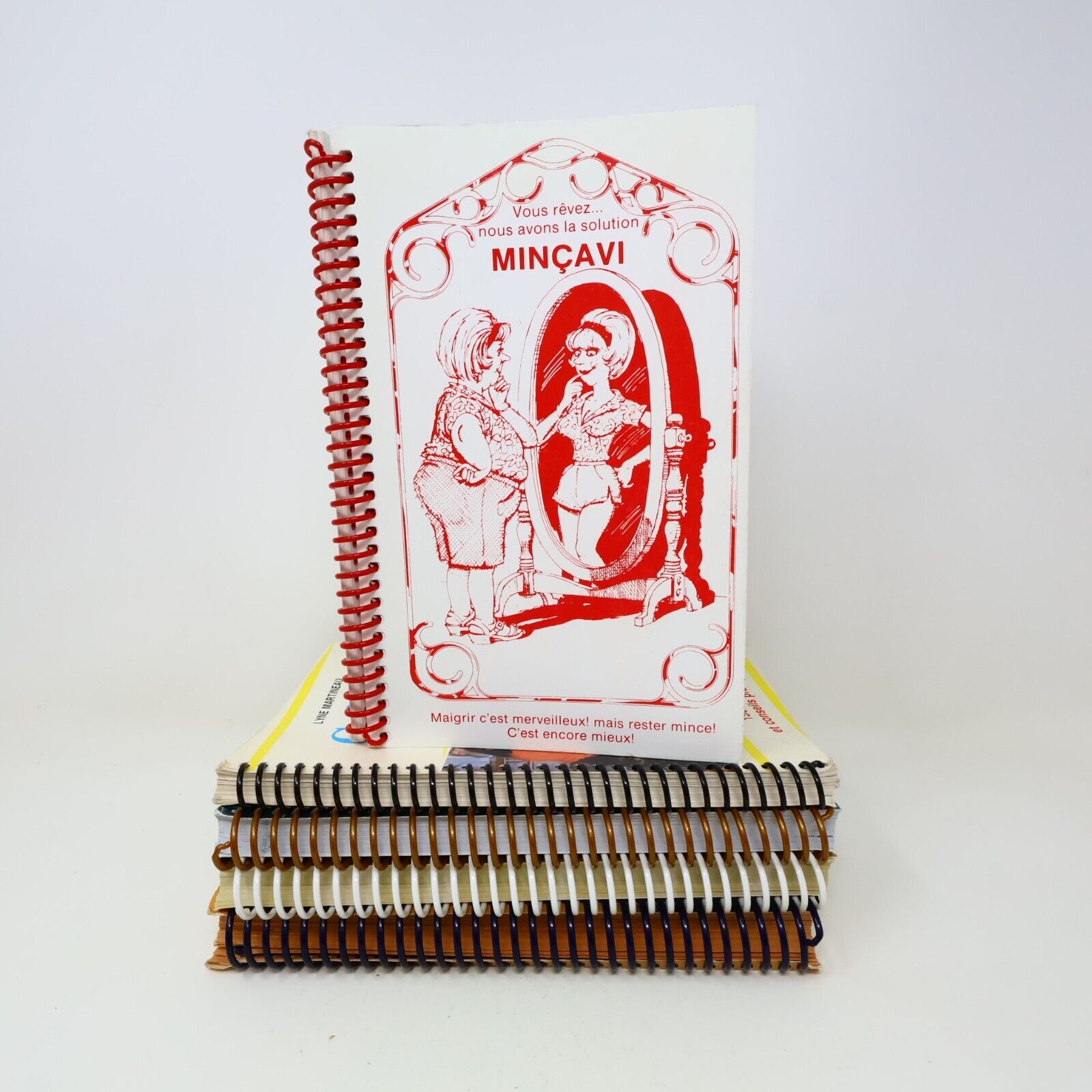 Lot 5 Livres Recettes Cuisine Minçavi #1-5 de Lyne Martineau Français 90s French