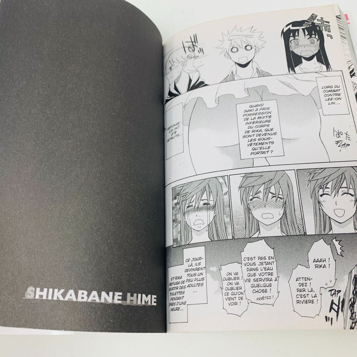2013 Shikabane Hime Volume 14 Kazé Manga Shonen Up! Français Yoshiichi Akahito