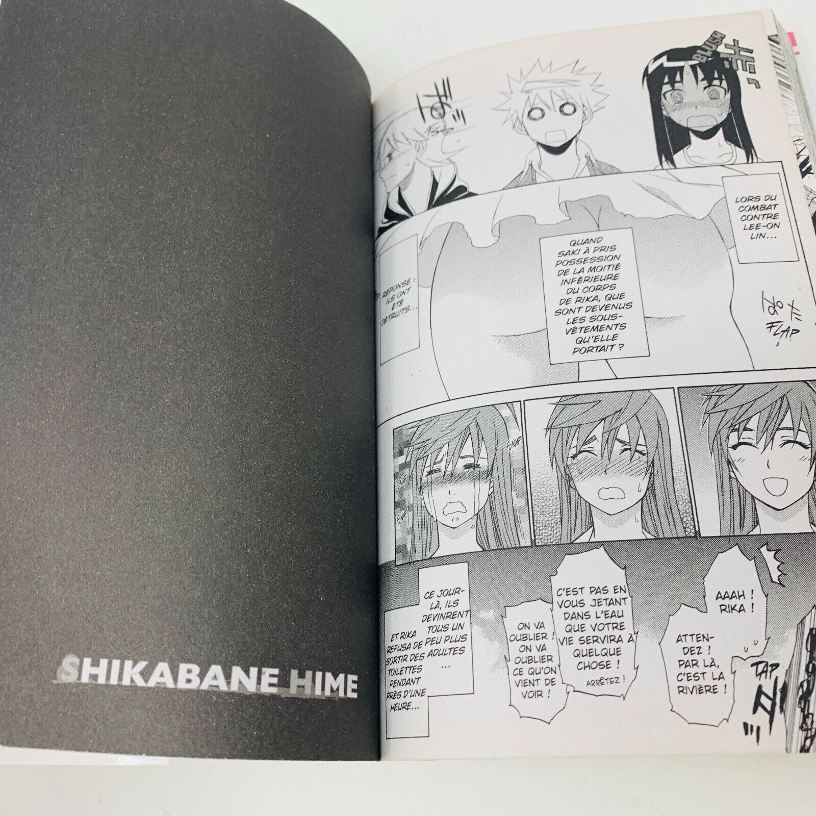 2013 Shikabane Hime Volume 14 Kazé Manga Shonen Up! Français Yoshiichi Akahito