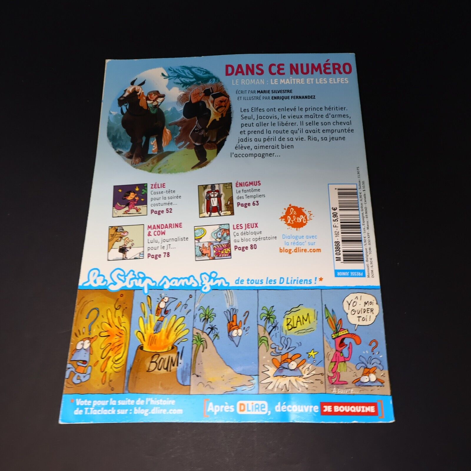 Lot 10 Magazines DLire Enfants Magazine Bayard Le Maître et les Elfes Français
