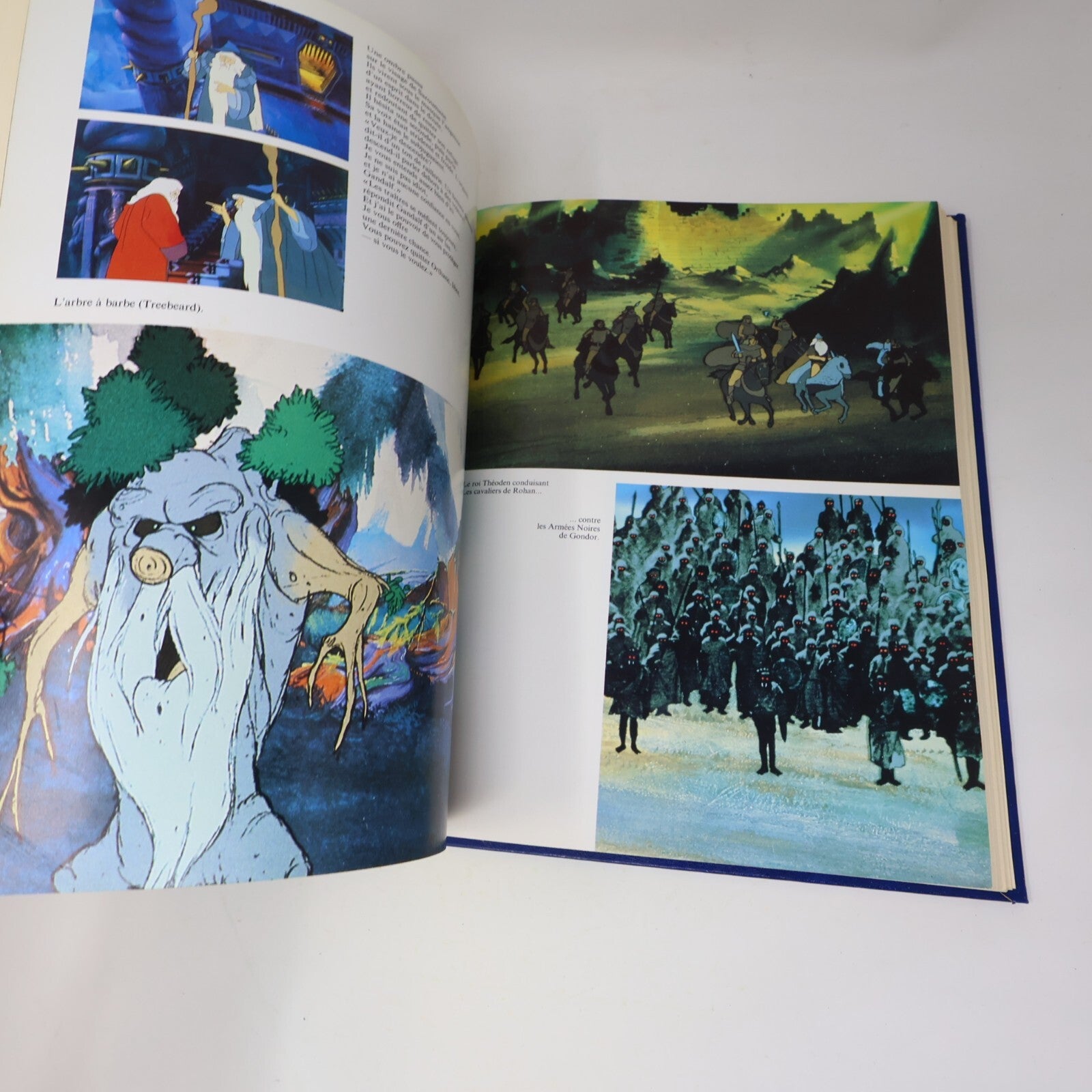 Le Seigneur des Anneaux #1-2 Lot 2 Livres J.R.R. Tolkien 1980 Famot Complète 80s