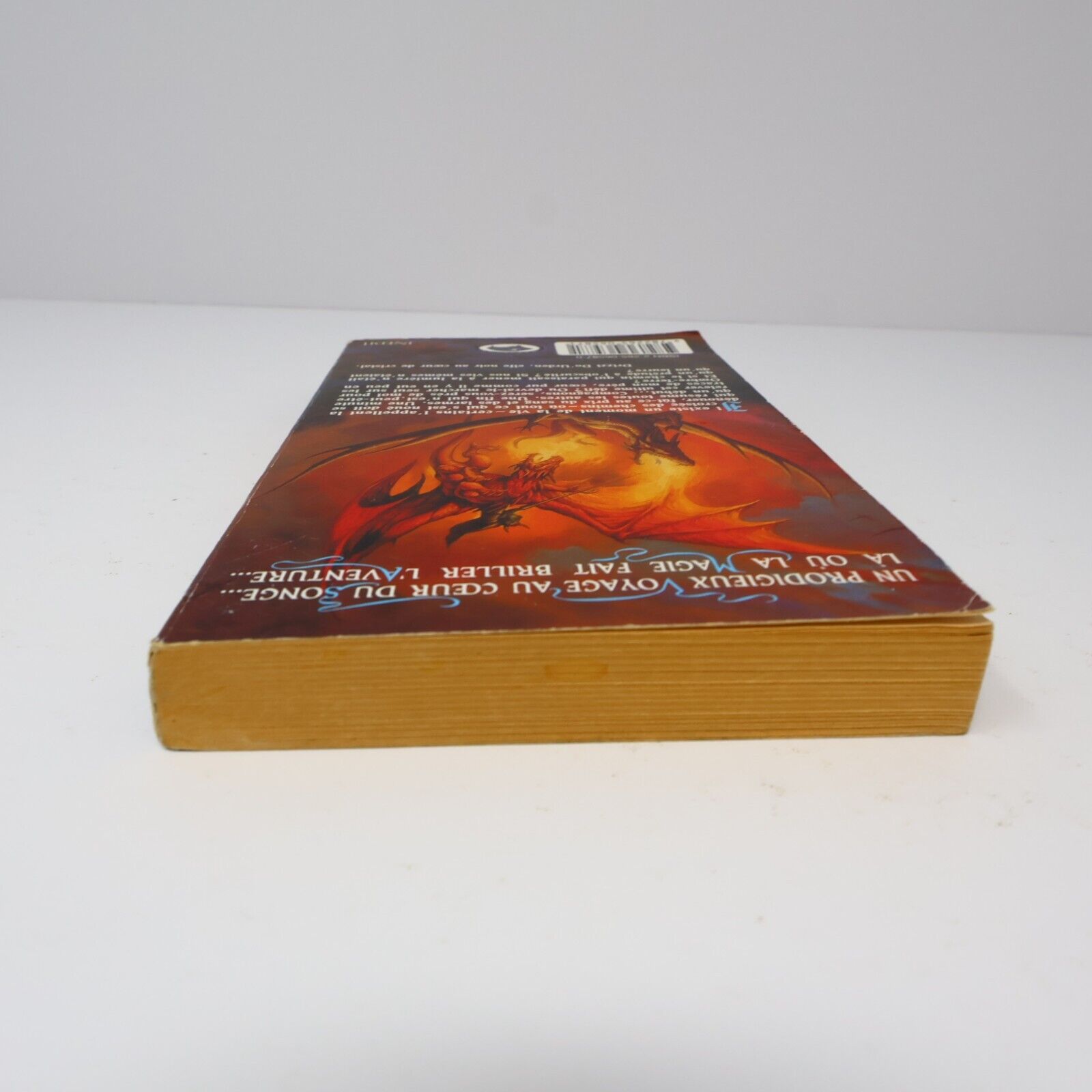 1999 Royaumes Oubliés #37 Vers la Lumière Le Monde d'Ombre-Terre Fantasy Livre
