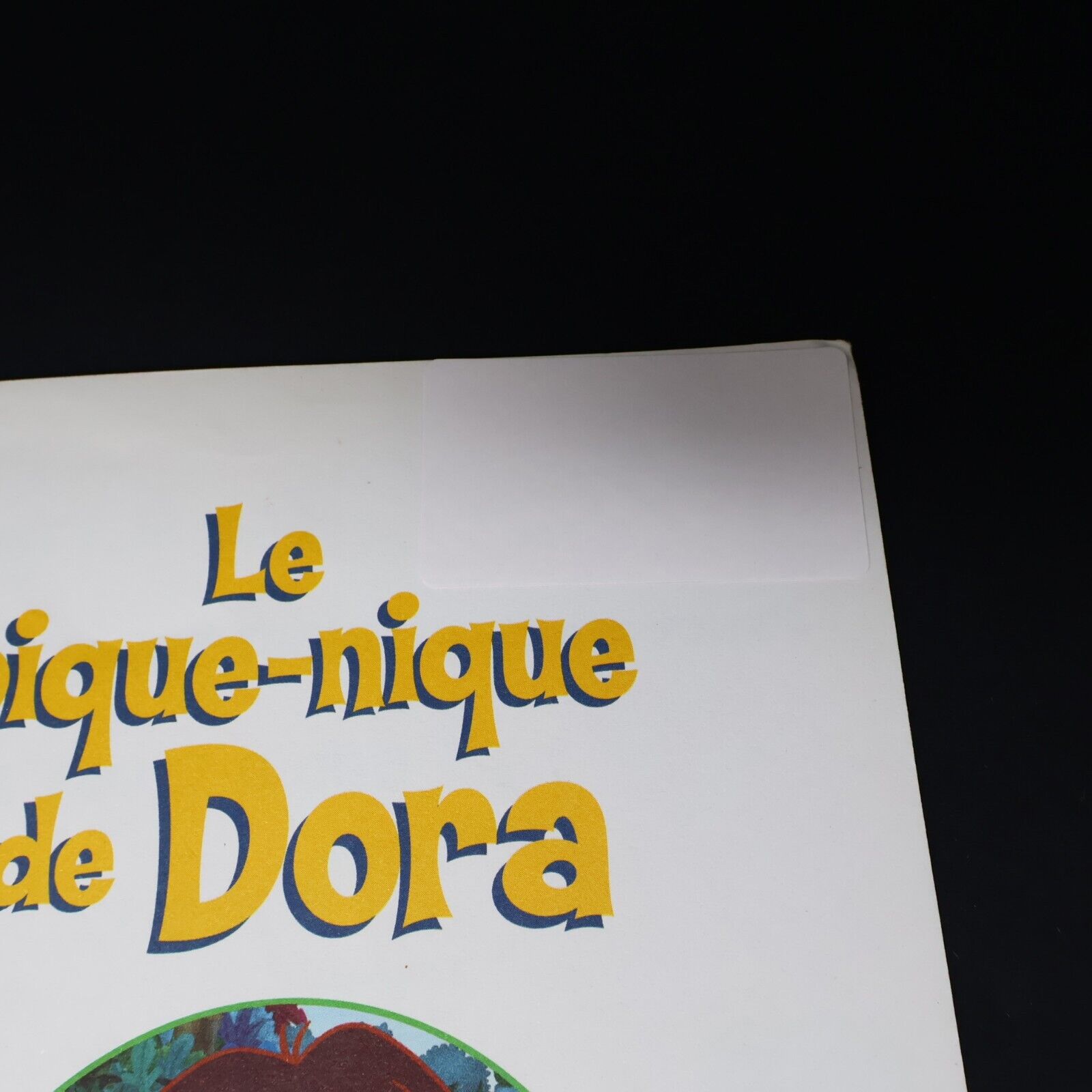 Lot 6 Livres Dora l'Exploratrice Français French Enfants Le Pique-Nique de Dora