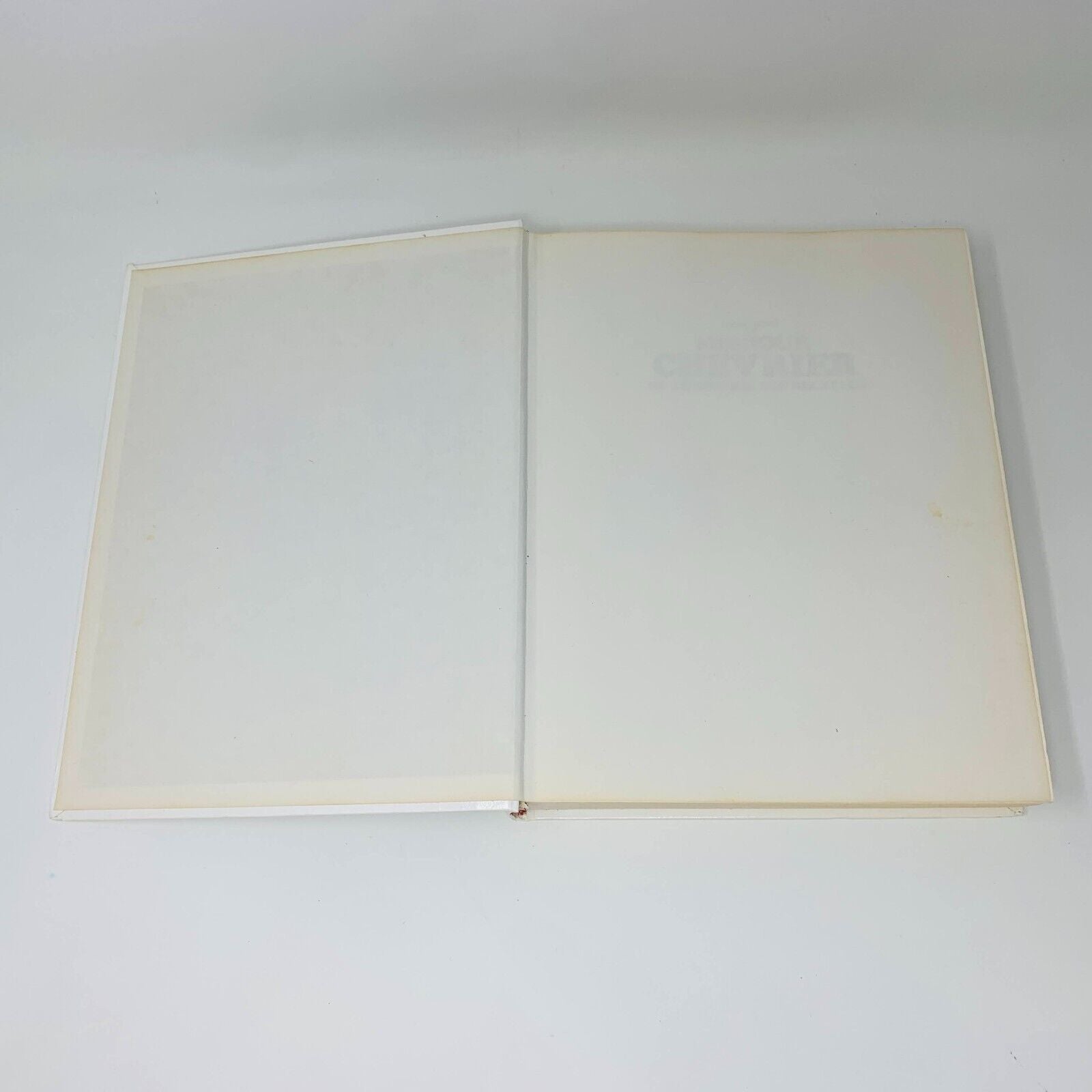1978 La Cuisine de Monique Chevrier Sa Technique ses Recettes Livre en Français