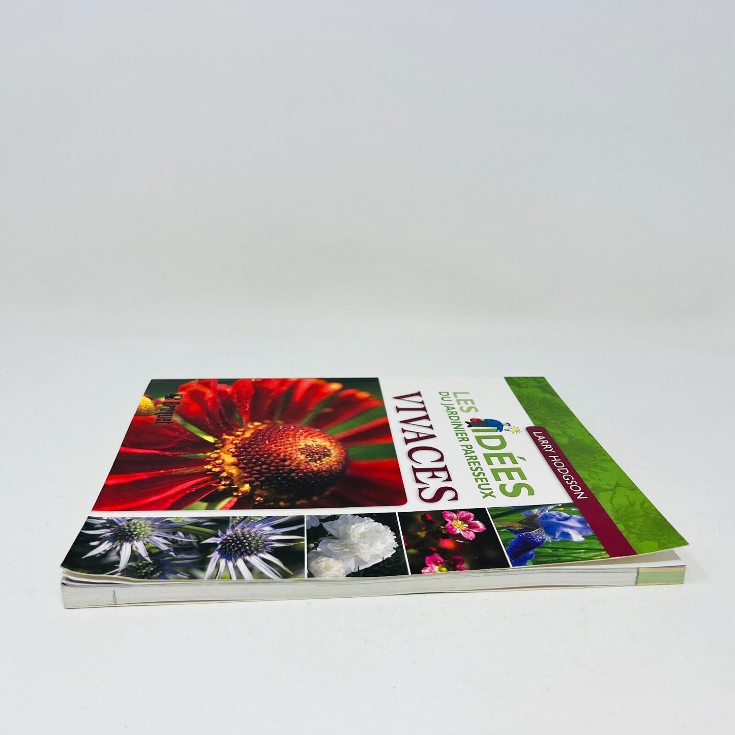 2007 Vivaces Les Idées du Jardinier Paresseux de Larry Hodgson Livre Broquet
