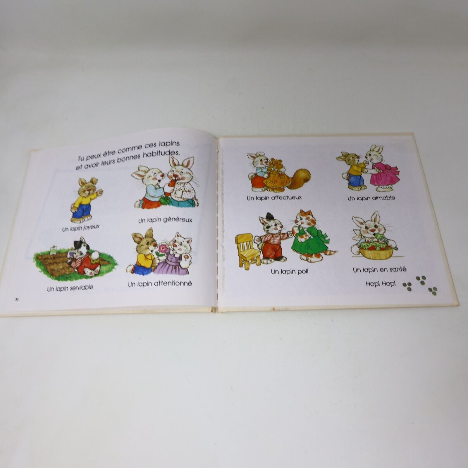Lot 18 Jane Belk Moncure Le Château Magique du Livre Livres Enfants Grolier 90s