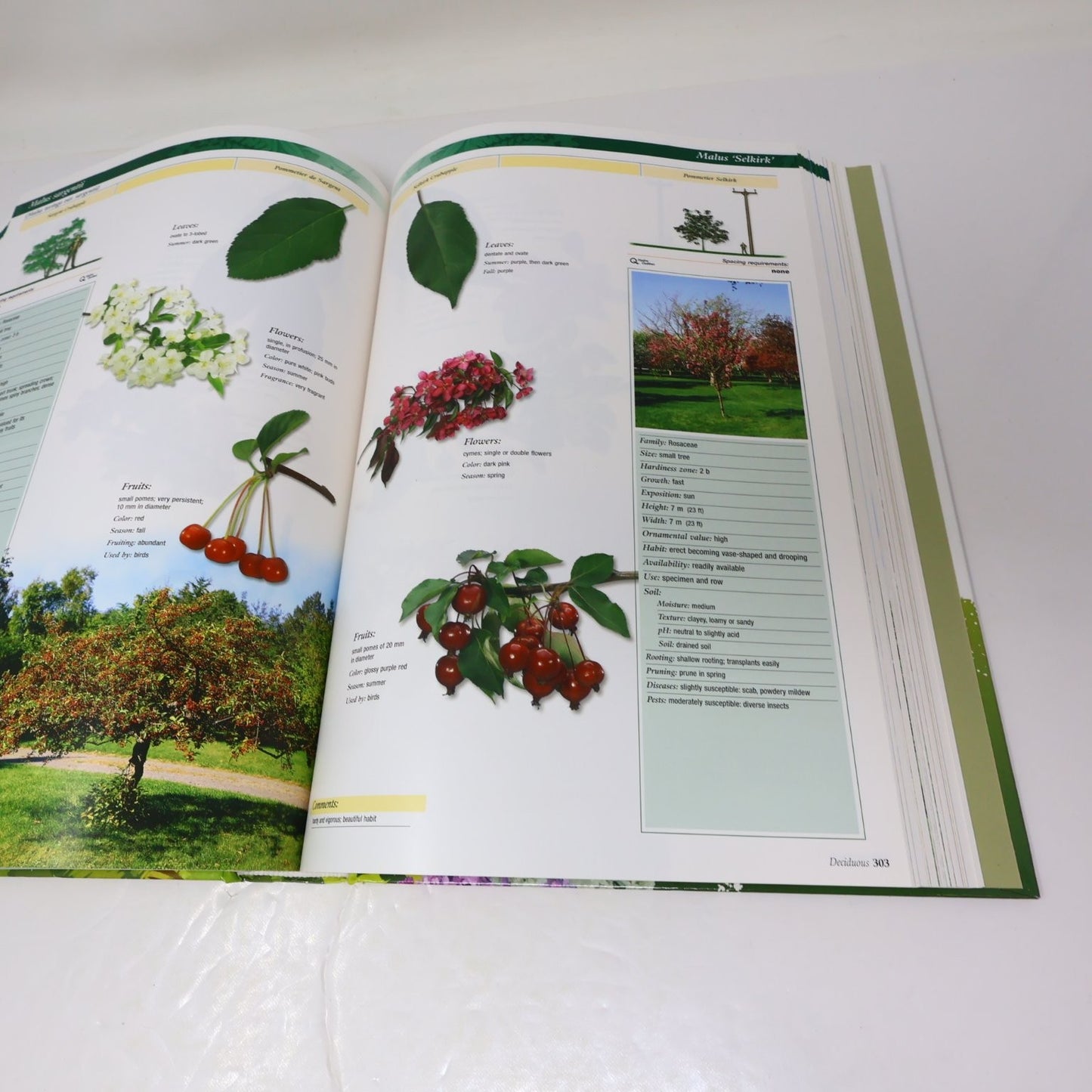Guide to Ornamental Trees and Shrubs Hydro-Quebec 2005 3rd Ed Gardening Broquet
